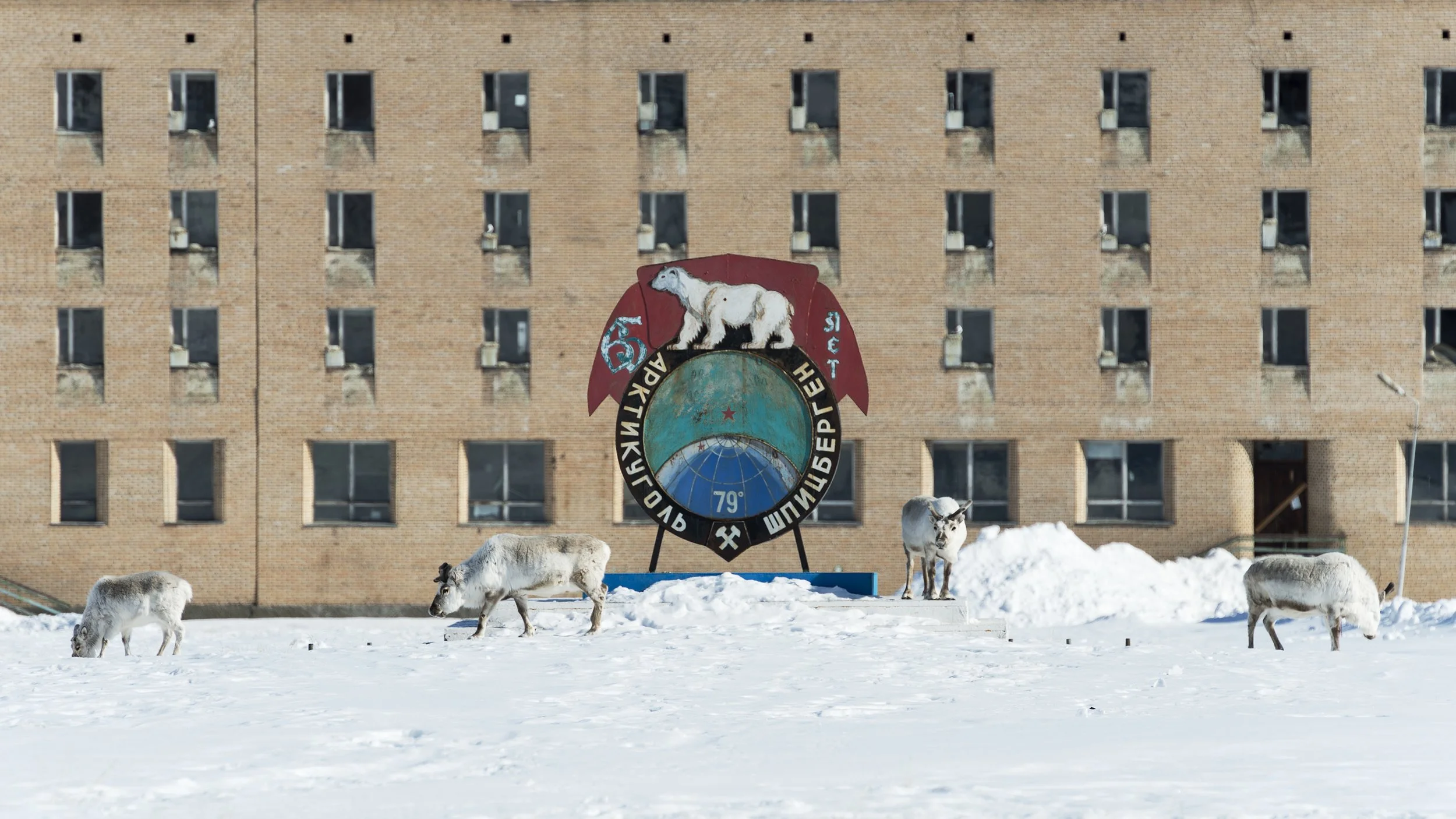 2014_Svalbard_0303.jpg