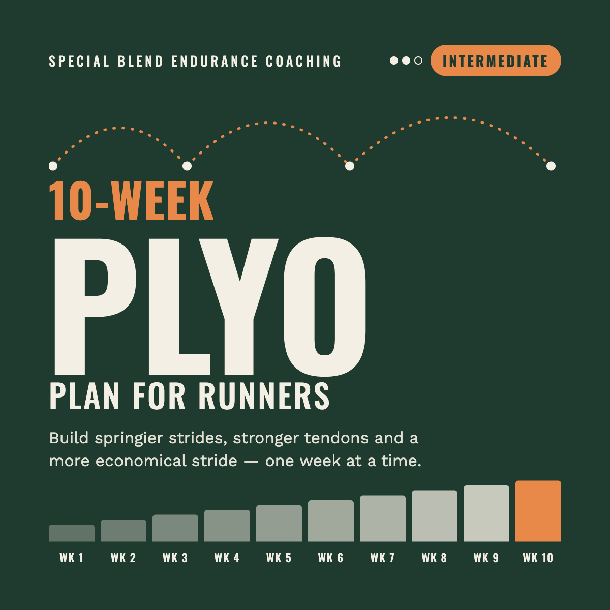 plyo_intermediate.png
