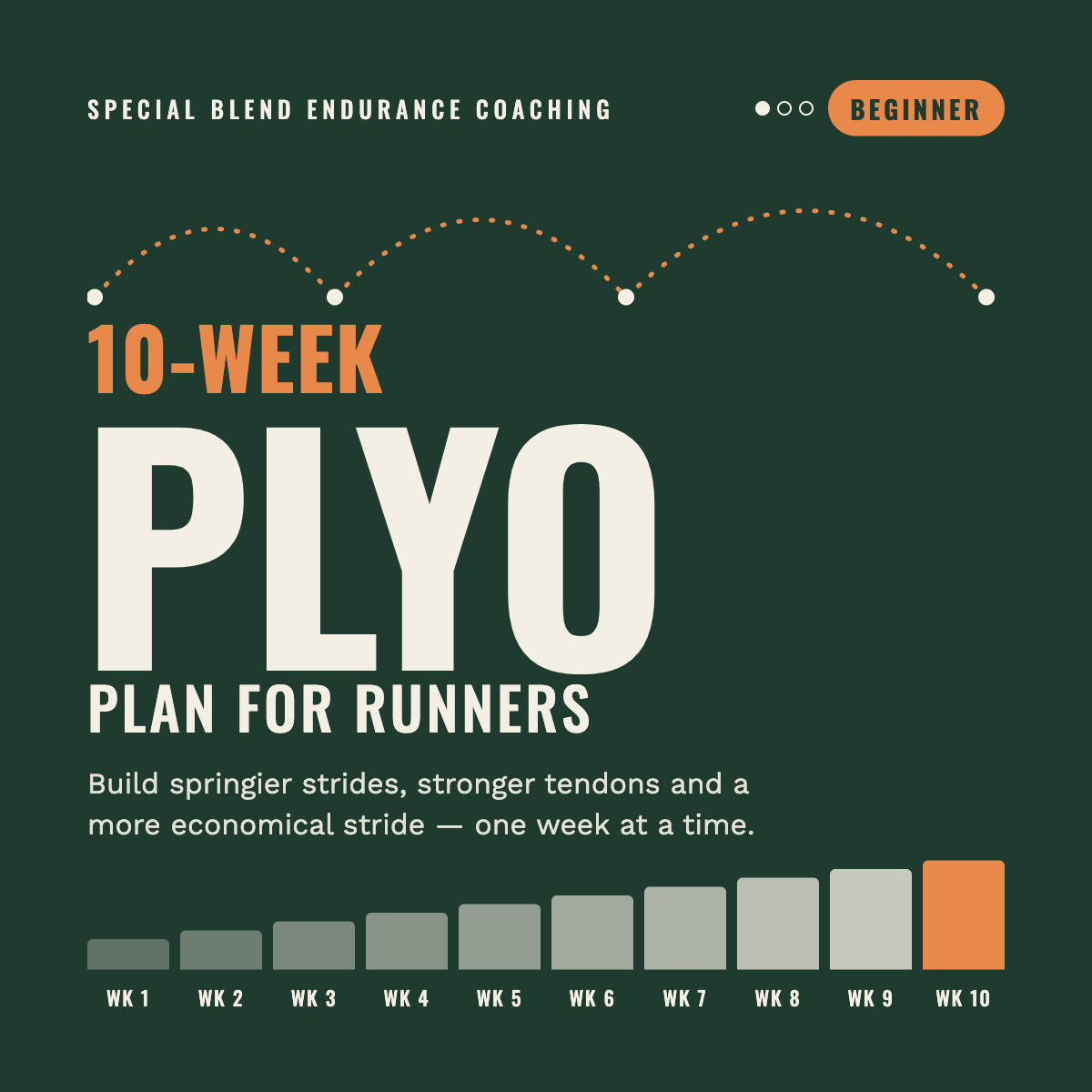 plyobeginner.png