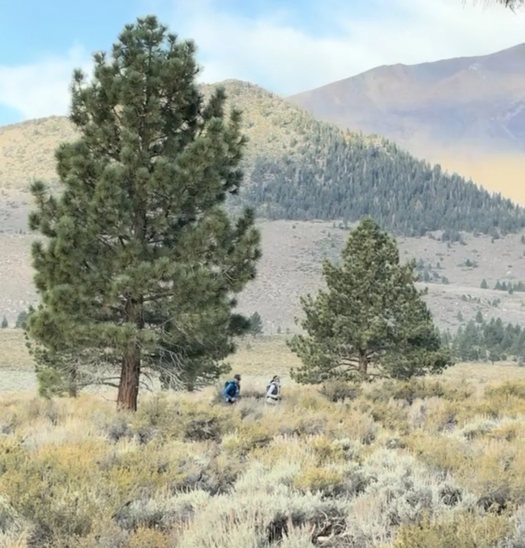 16-Week Trail Ultra Base Builder Plan - Running