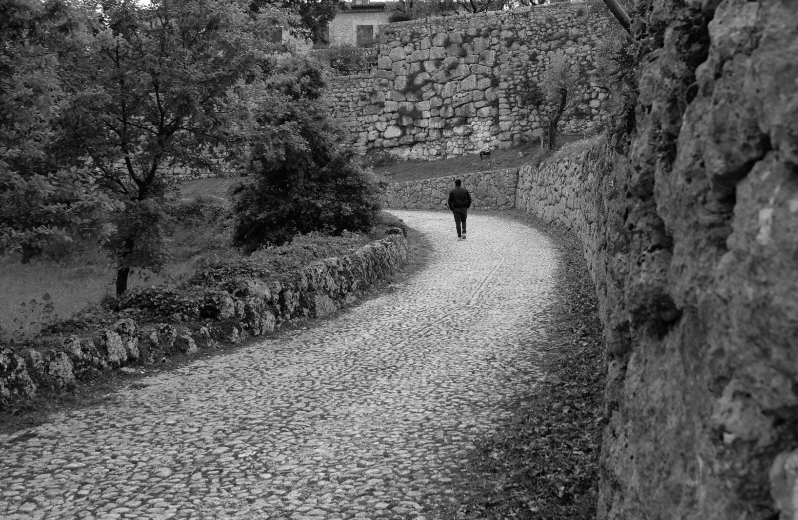 Poesia per chi non trova la strada