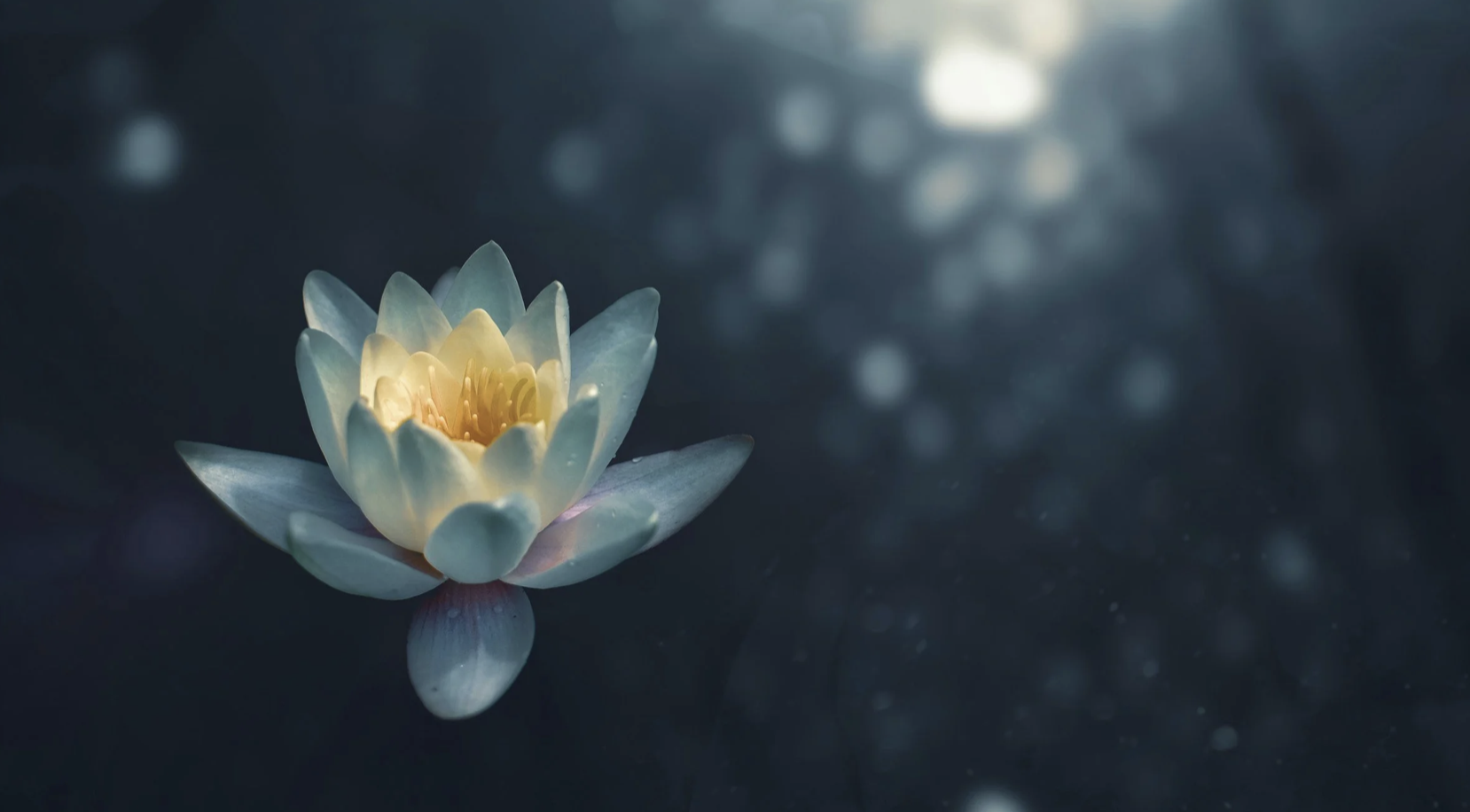 Yoga Nidra e scrittura terapeutica: 5 pratiche per ascoltare ciò che emerge