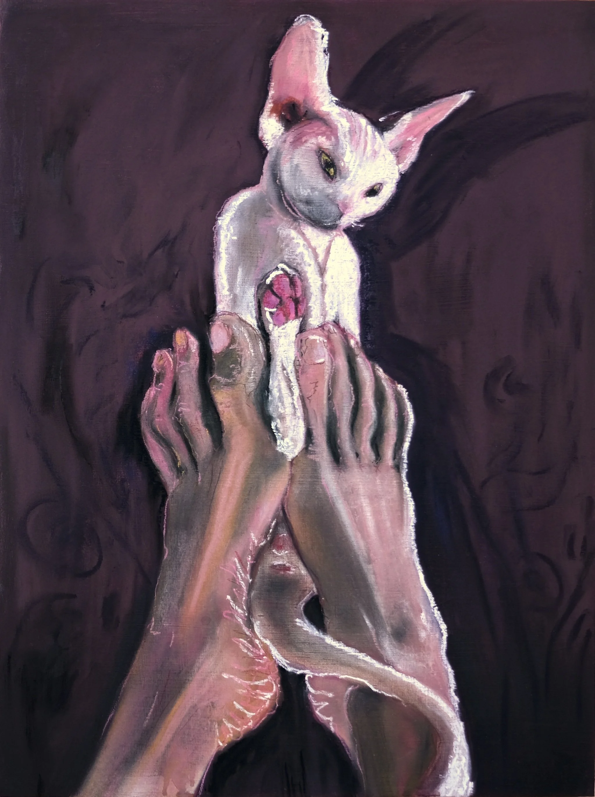 Pink toes_Morgane RLF_2025 (1).JPG