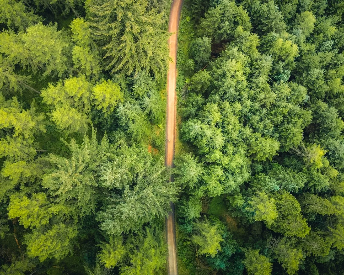 Top down madness volume 2#&hellip;.🚁🌲

.

#ForestTrails #TopDownView #DronePhotography #WoodlandWalks #ForestRoads #NatureFromAbove #AerialWilderness #HikingPaths #IntoTheForest #WildernessVibes #NatureCaptured #TrailViews #ForestTextures #ExploreF
