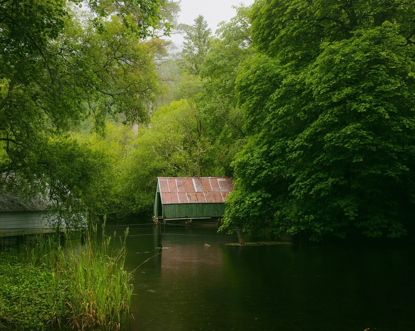 Sometimes the best shots come when the sky is grey and the loch is alive with rain.🎣🚤🌳

.

#LochArd #FishingBothy #ScotlandHikes #RainyWalks #ScottishLochs #LochsideViews #MoodyLandscapes #WildScotland #ScotlandScenes #HiddenScotland #NatureOnFoot