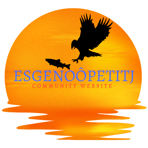 Community Website Established