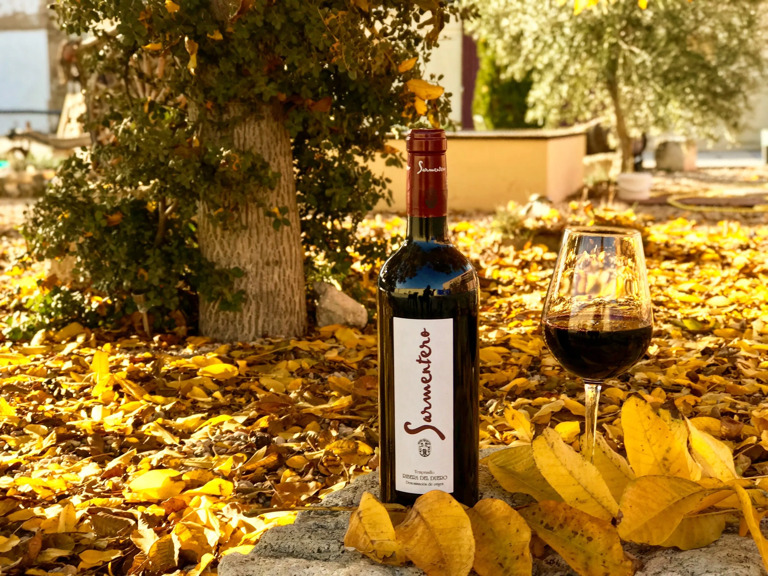 Meet the winemaker