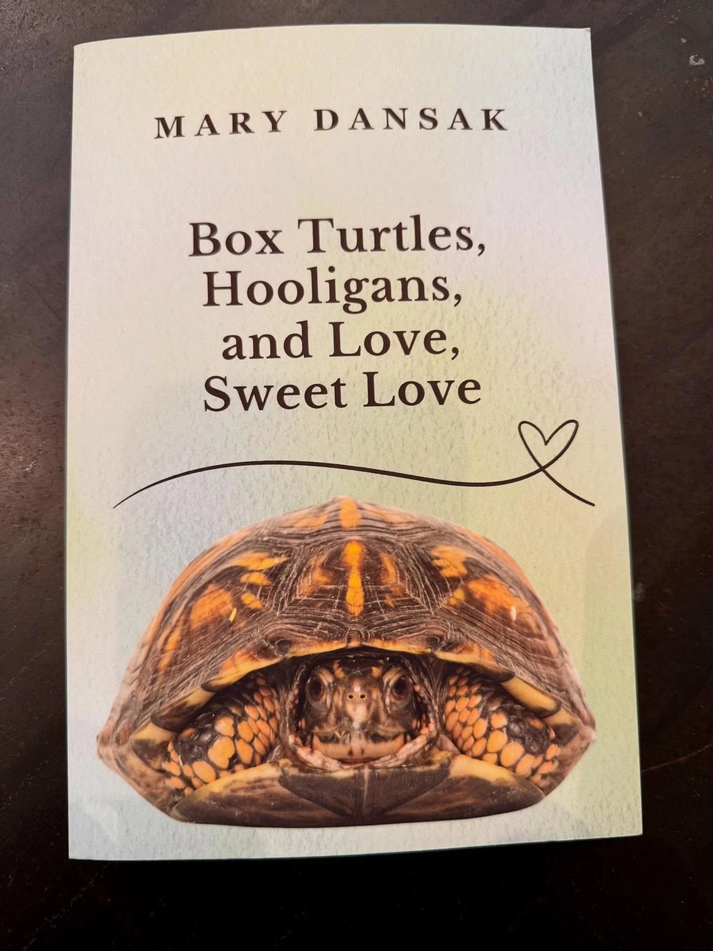 We&rsquo;re in a season of amazing books, and I&rsquo;m lucky to know some of its brilliant authors. I can&rsquo;t wait to dig in, @marydansak!!!