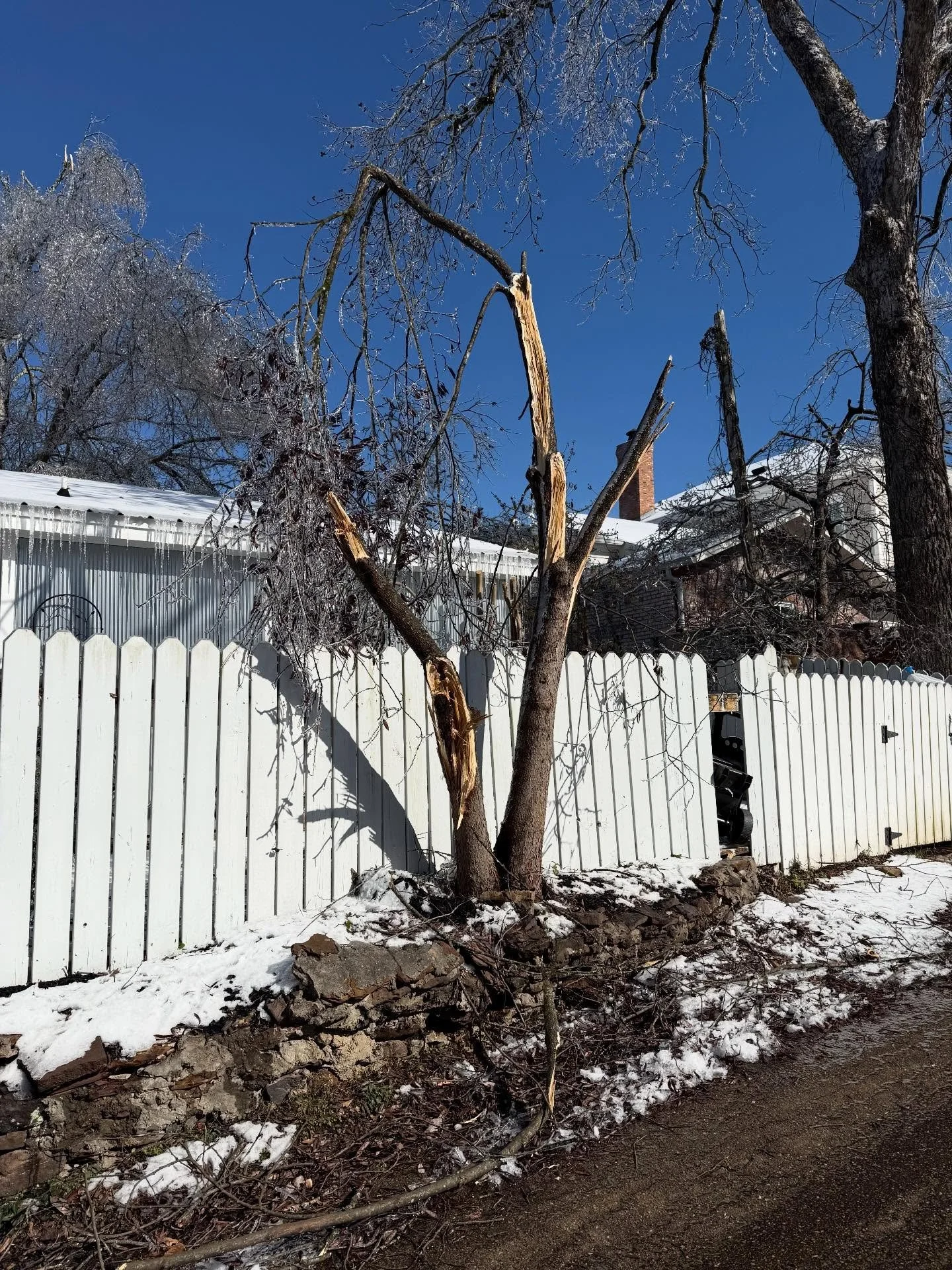 We&rsquo;re very cold but okay. Thank you, friends, for checking in. Our poor birds are missing many, many trees.  It appears we were hit by an ice tornado. Stay warm, dear Oxford friends.