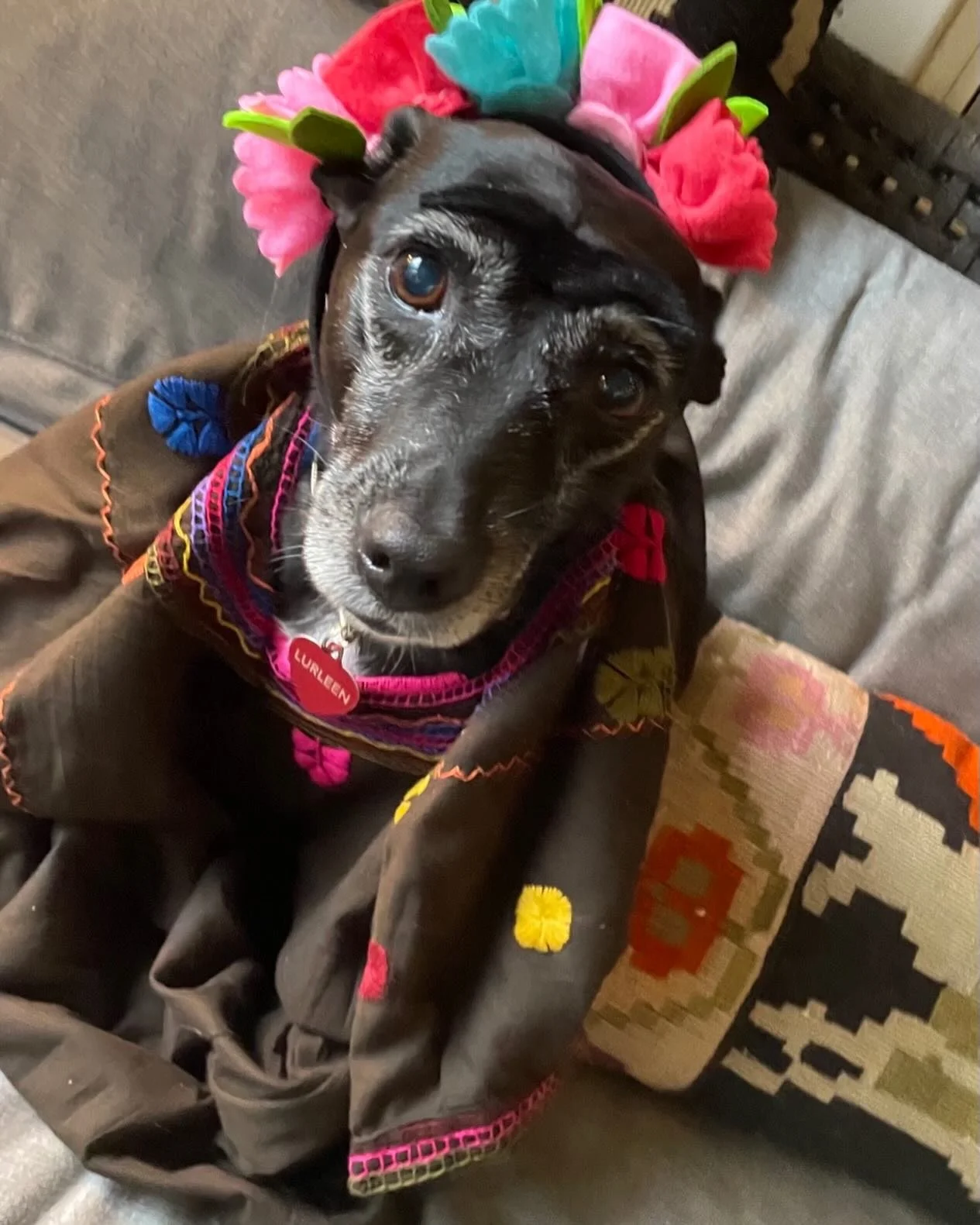 When I need a pick-me-up, I stare at pictures of Lurleen dressed as Frida Kahlo.