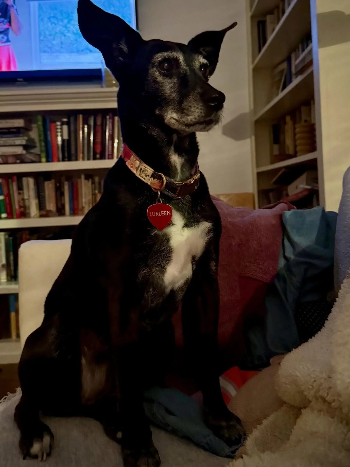 Lurleen is the most beautiful girl ever. ❤️