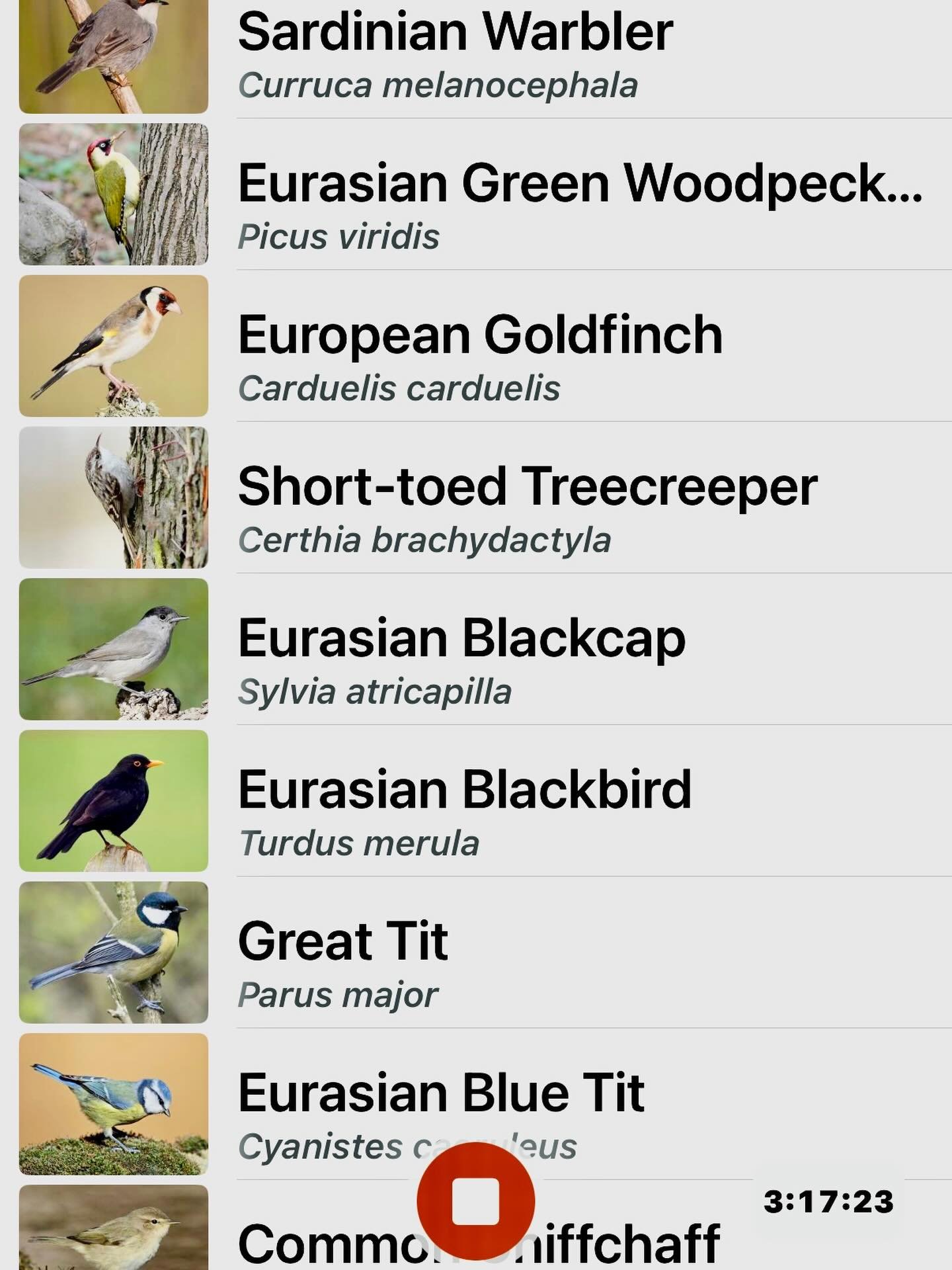 Maremma and Tuscany have great tits.