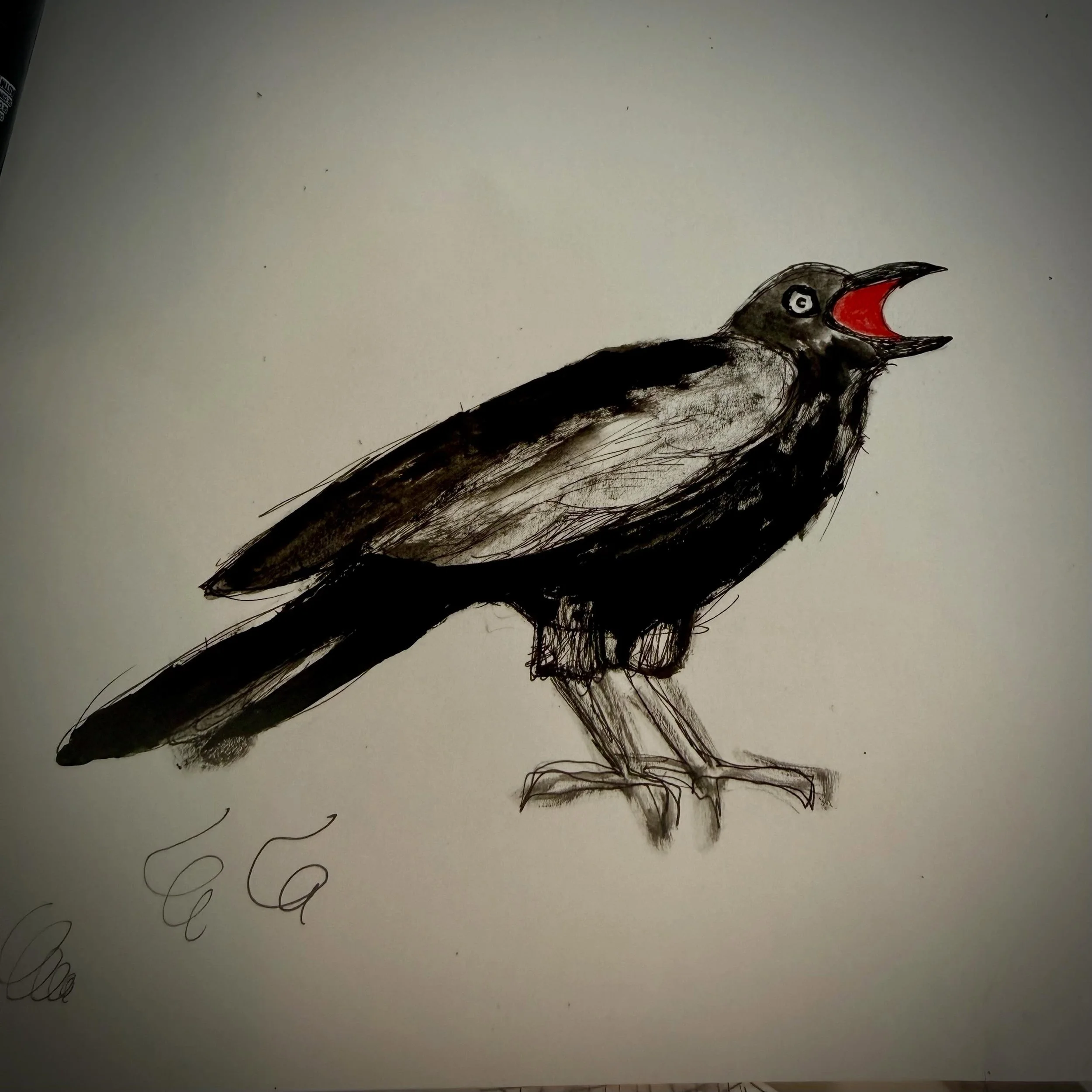 My hot morning walk with Lurleen was a little bit hellish. Panting crows with mouths full of bloody sunlight. And a stink horn.  Good stuff for drawing, though ❤️