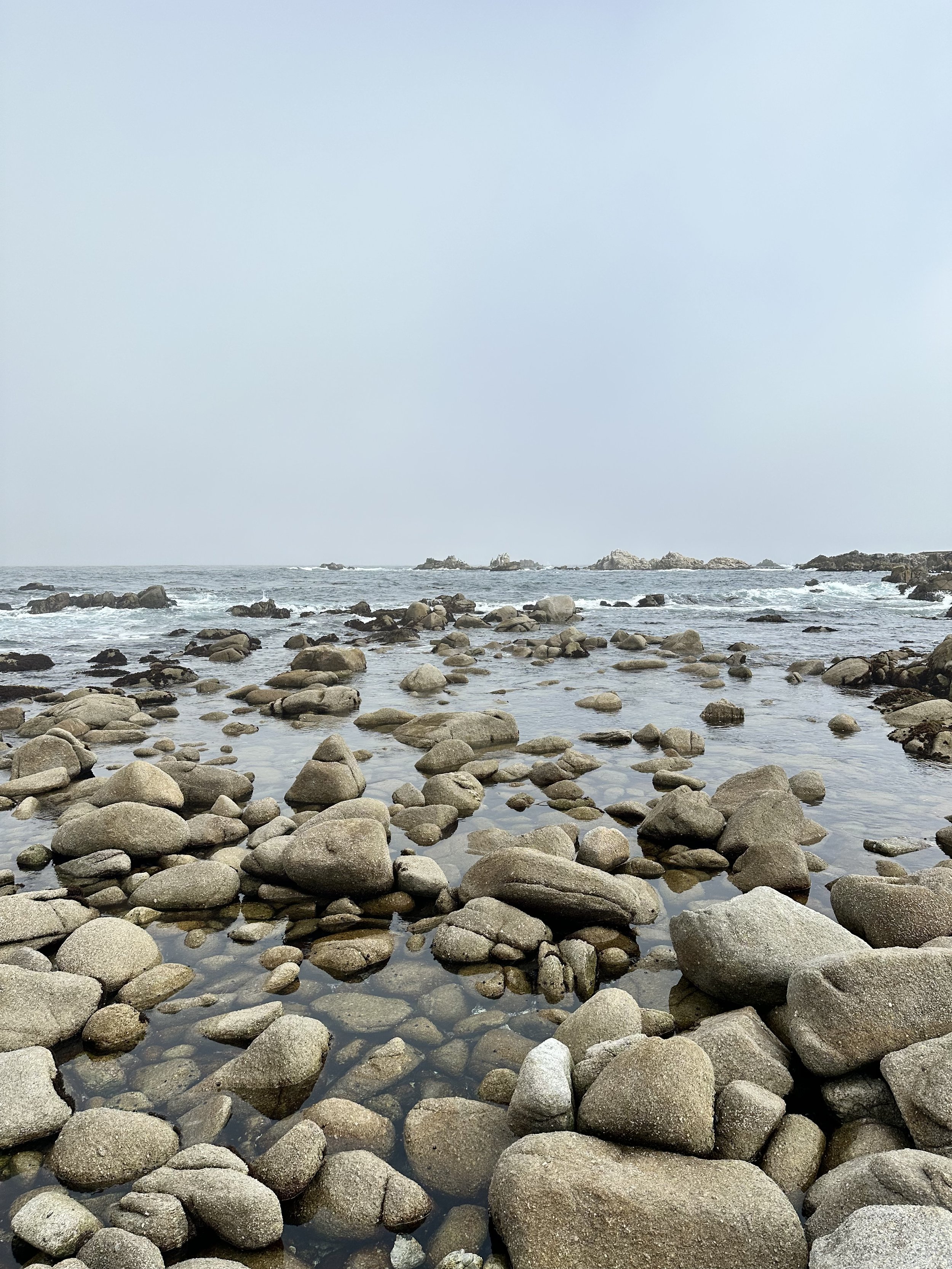 Stillness in Monterey
