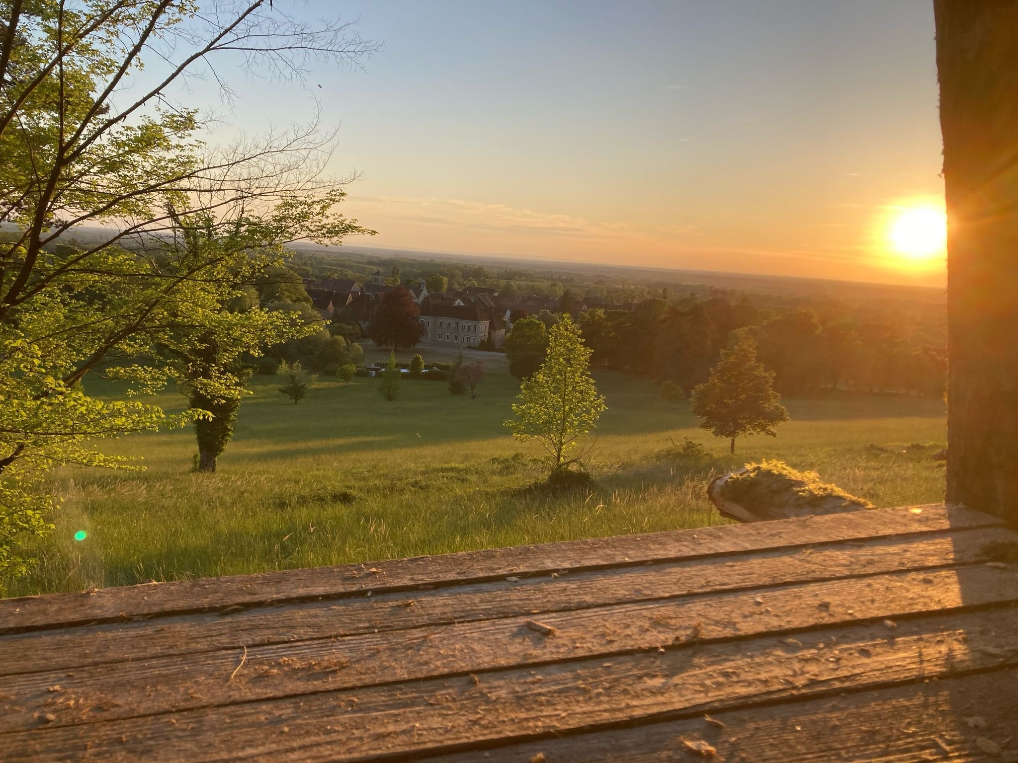 8236286f-8a76-4f99-80b5-1cf3340f012a.jpeg