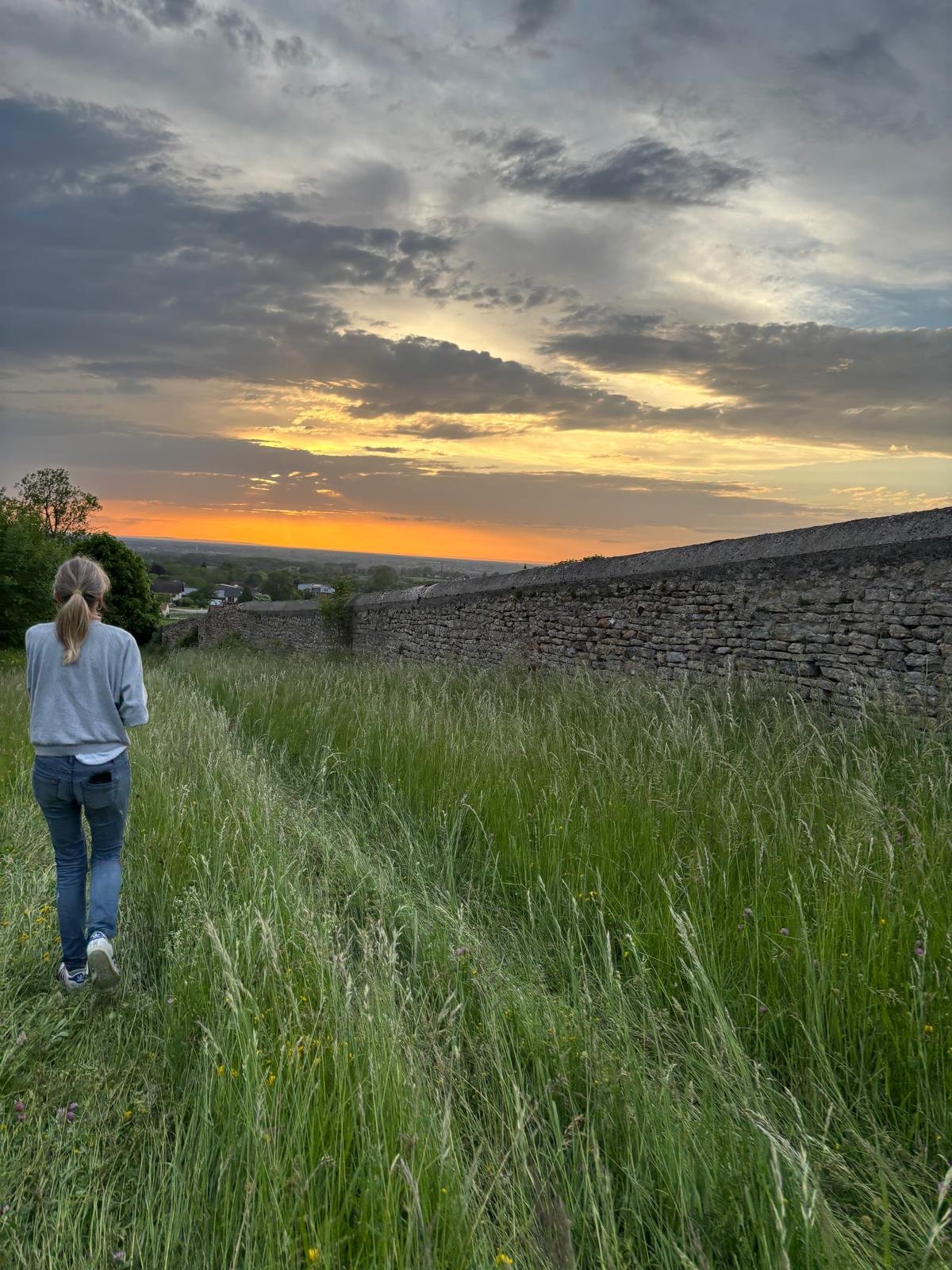354333dd-1f8d-491d-81bf-8de3e9264456.jpeg