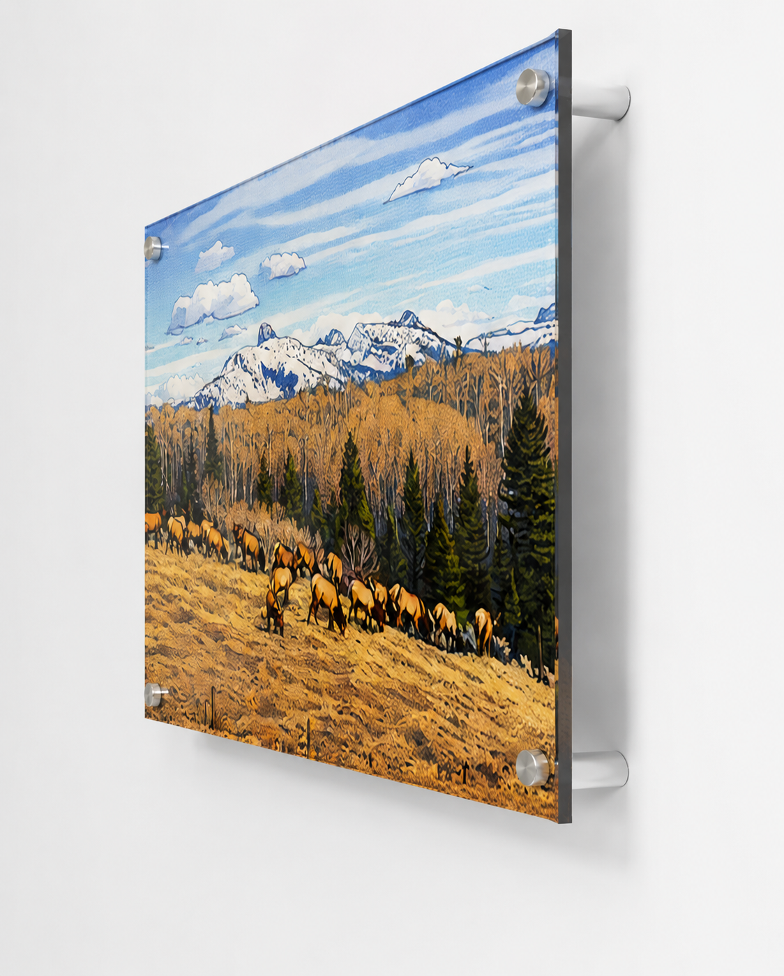 elksideview.png