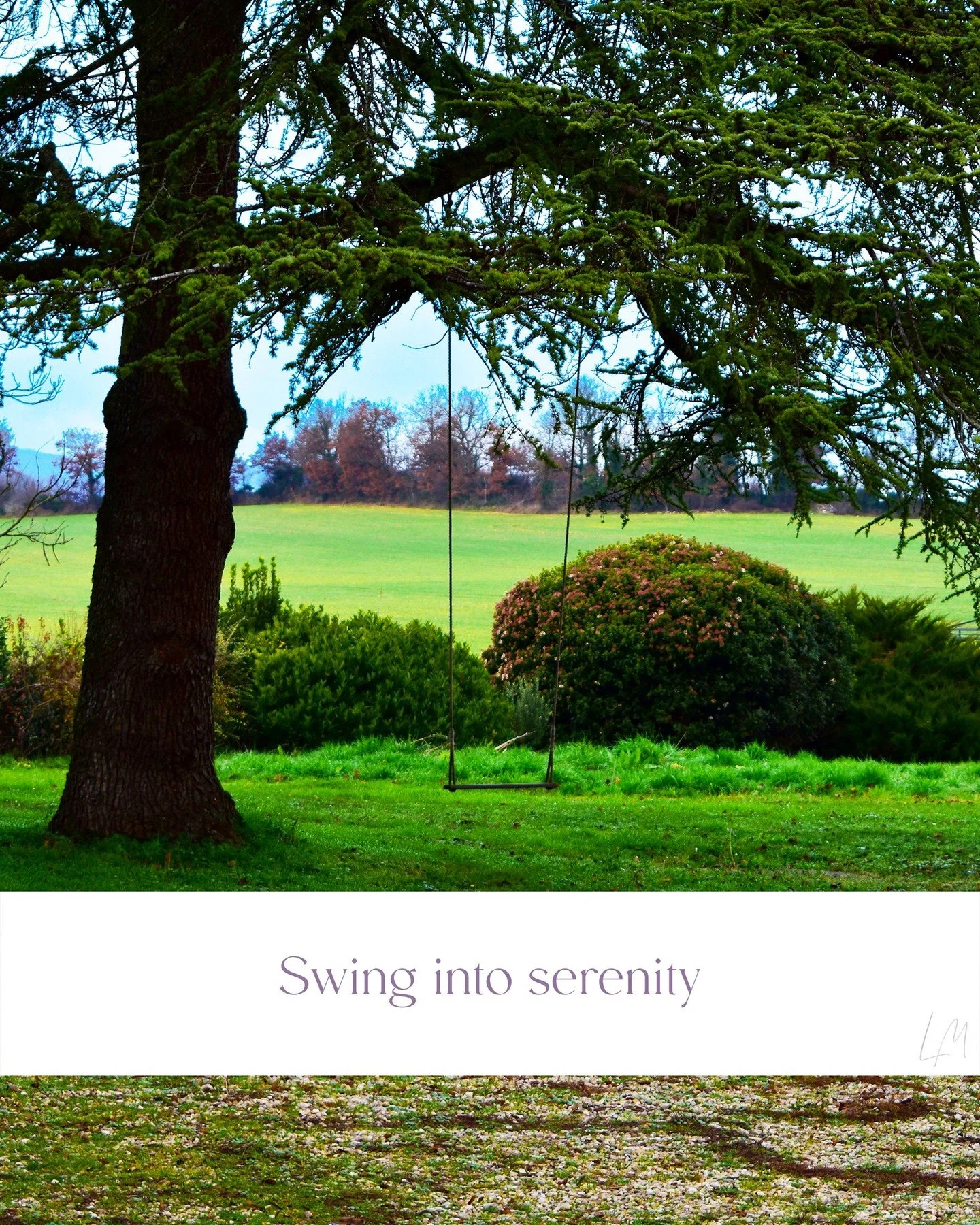 Find your natural rhythm.

Where ancient trees shelter simple joys and time moves at nature's pace. The Les Manibelles grounds are your invitation to pause, breathe, and rediscover what matters.

Reserve your sanctuary &rarr; Click the link in our bi