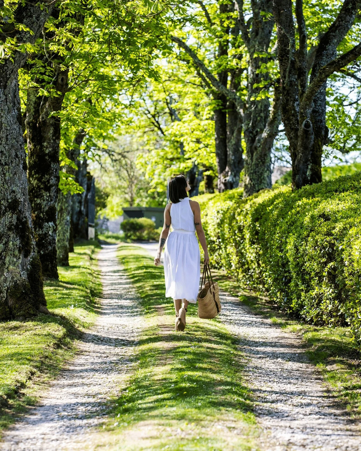 April has a way of arriving quietly and changing everything. ✨

The gardens wake up, the air softens, and the Tarn valley turns a shade of green that doesn't exist anywhere else on earth.

The Tarn in April does something magical to you. 🌿

Reserve 