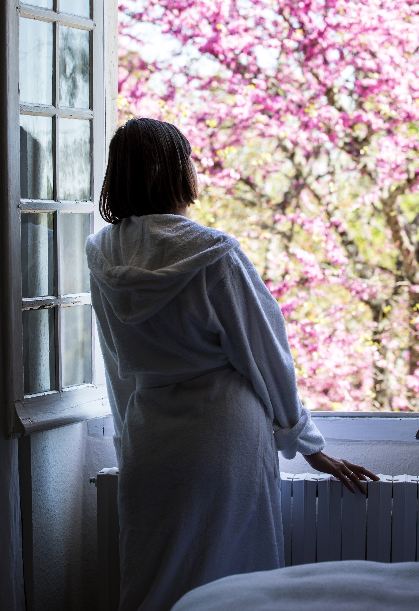 A woman in a white bathrobe standing by an open window, looking outside at blooming pink cherry blossom trees.