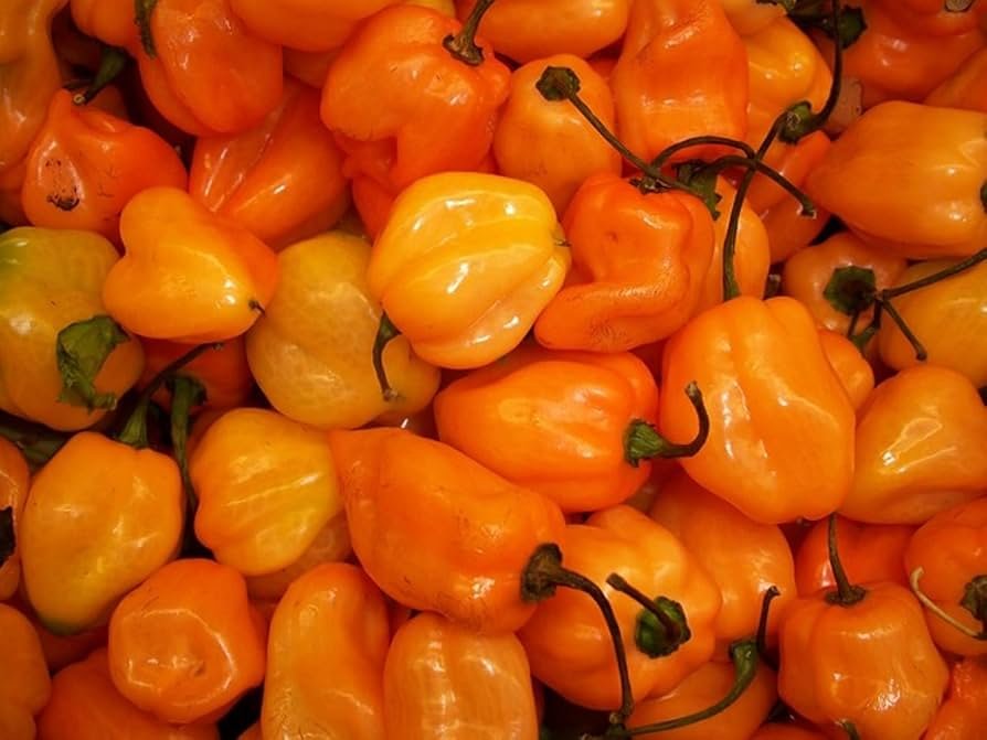 Habanero Orange