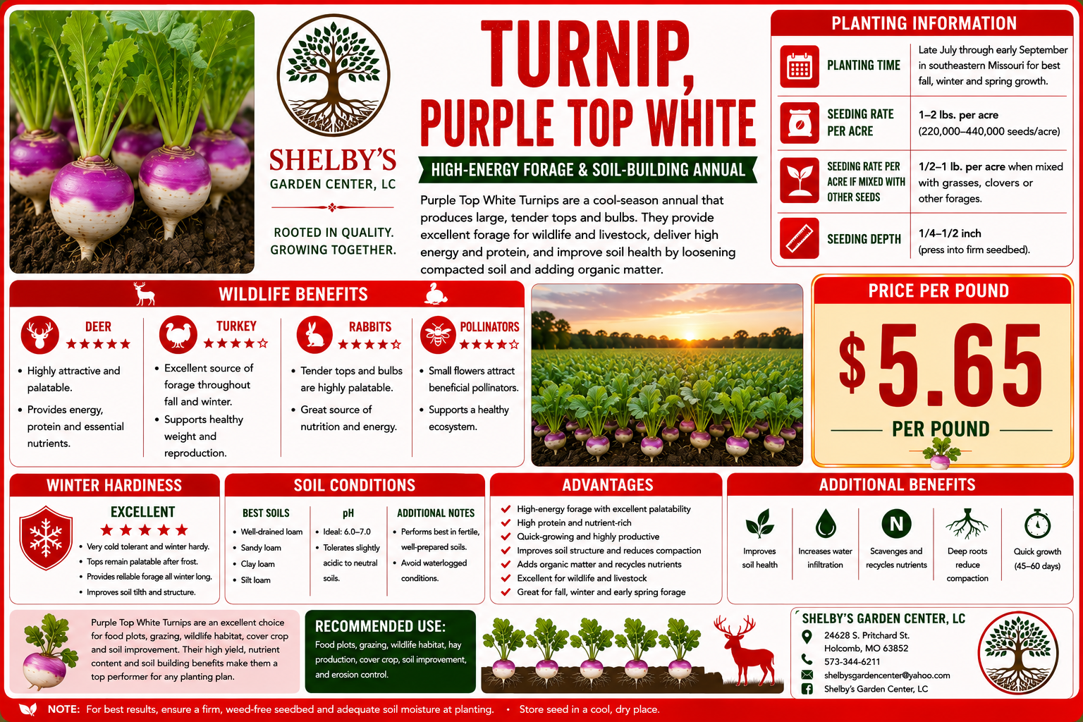 Turnip Purple Top Bench Card.png