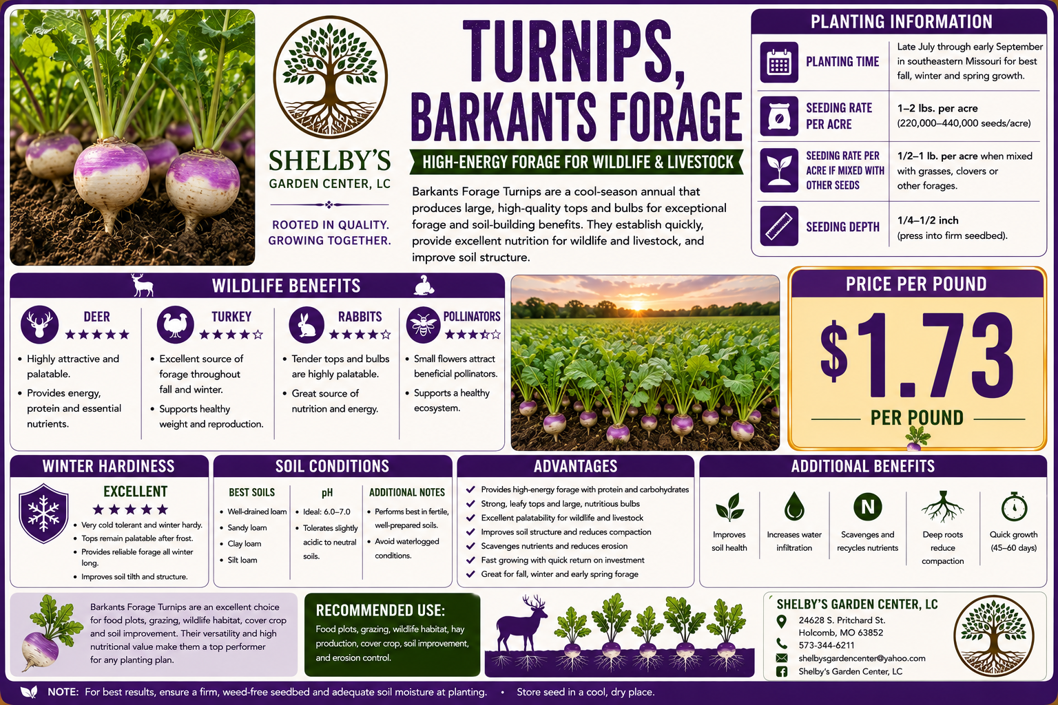 Turnip, Barkants Forage Bench Card.png