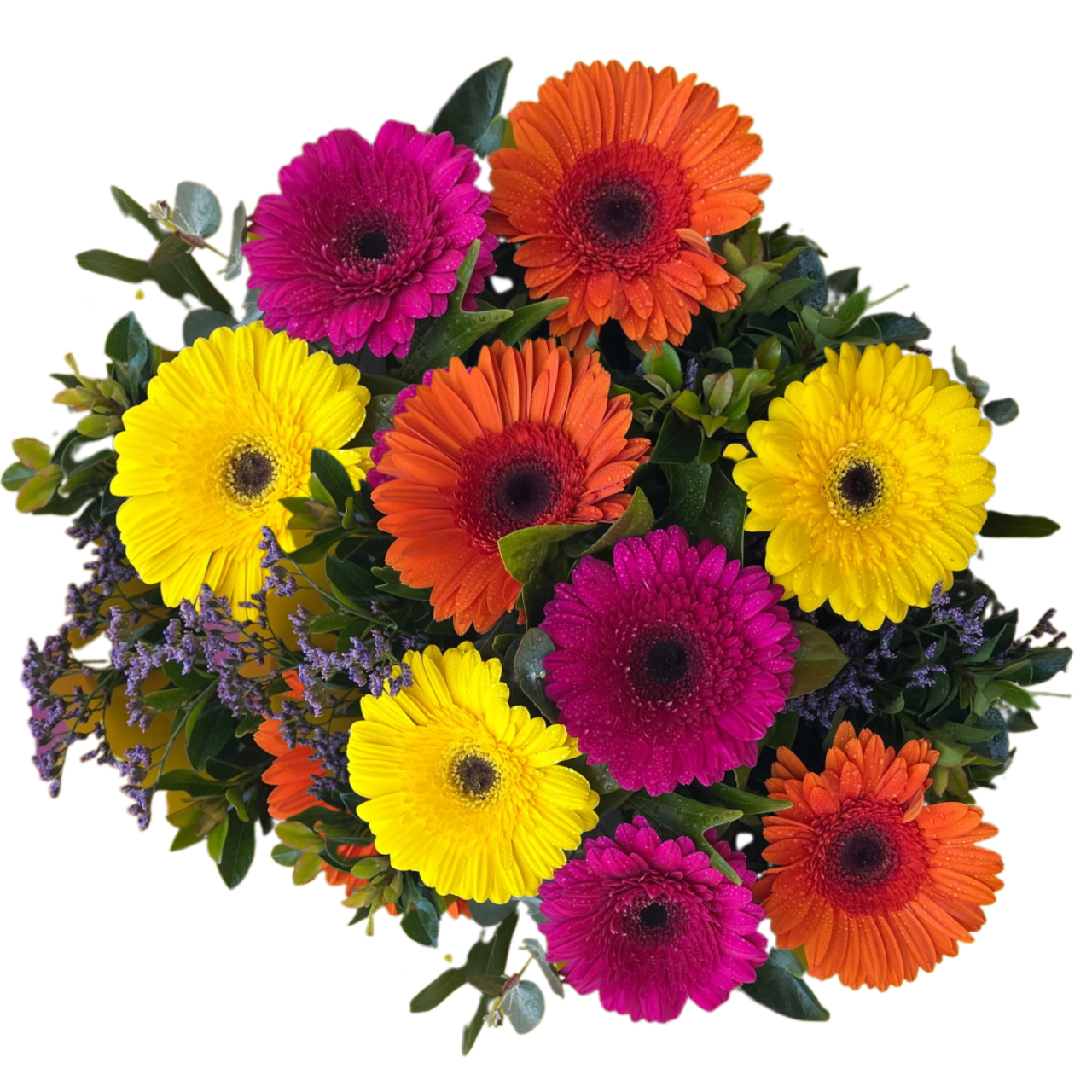 Gerbera Colorbloom Mix