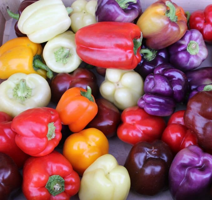 Sweet Rainbow Mix