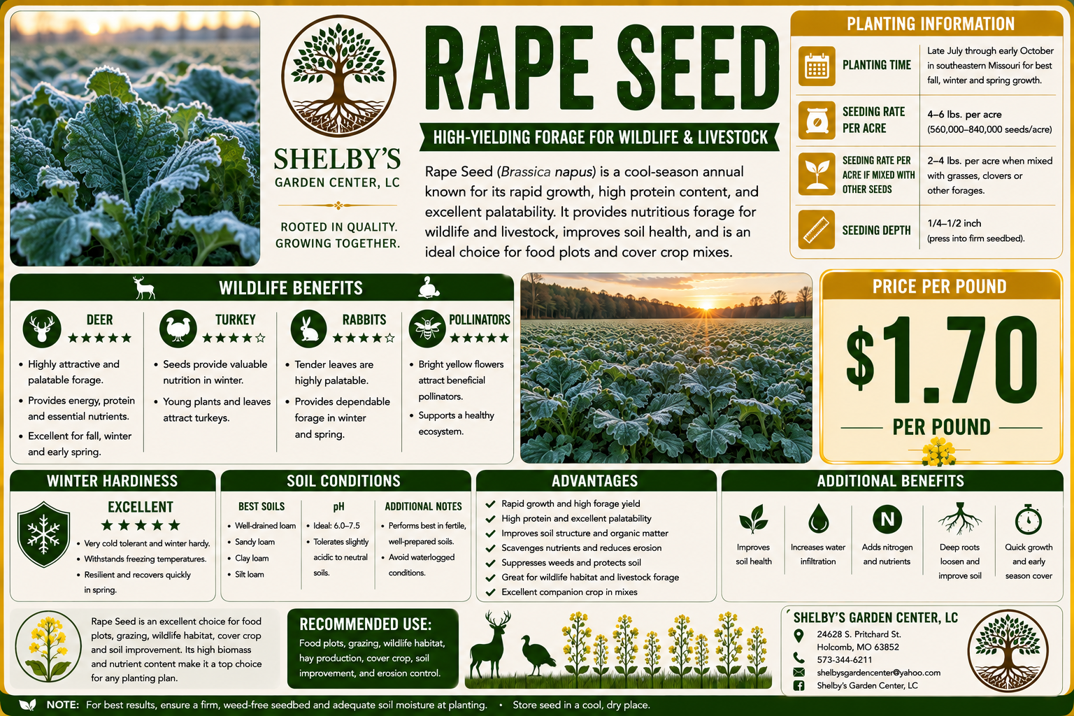 Rape Seed Bench Card.png