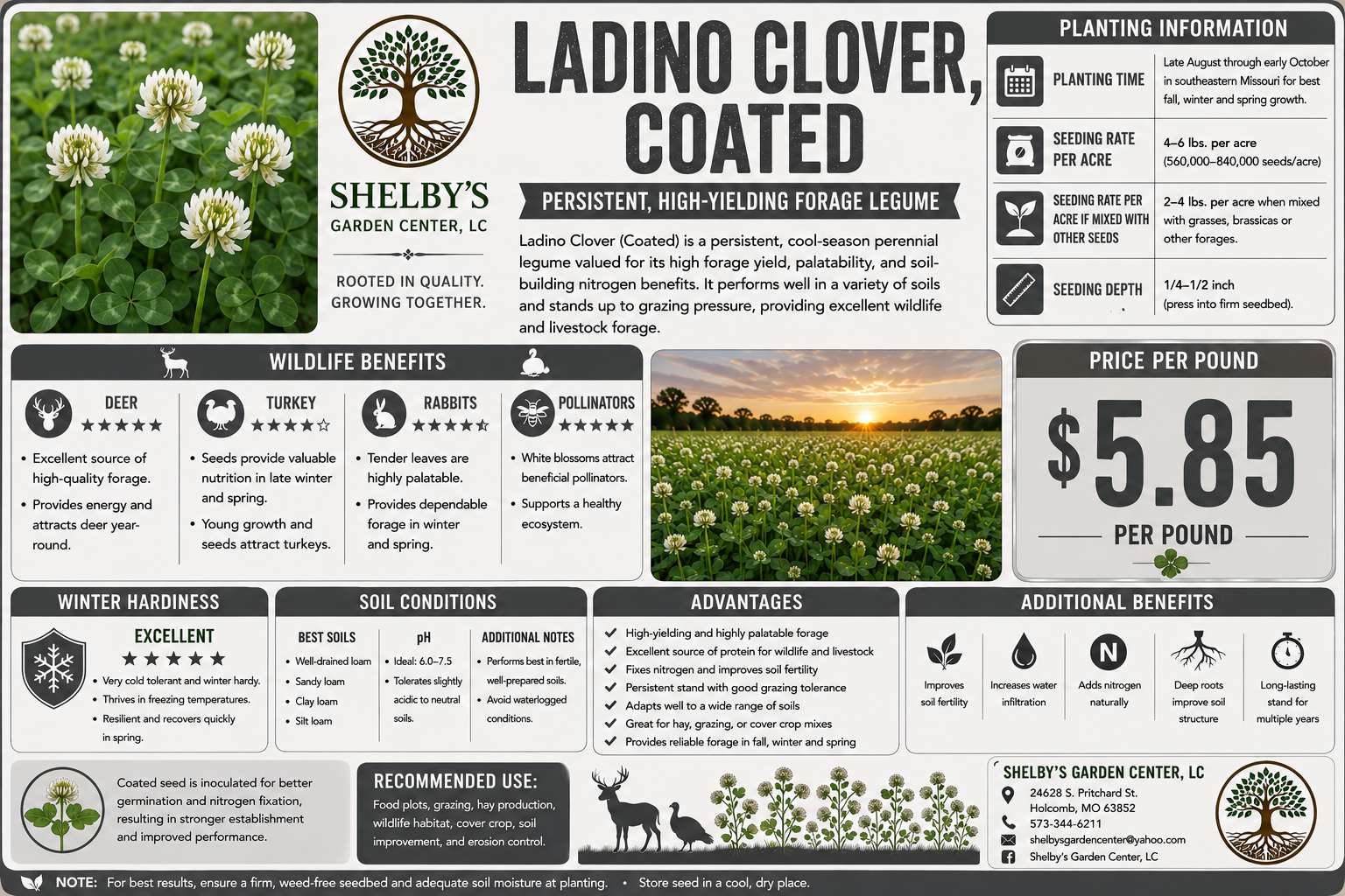 Ladino Clover Bench Card.png