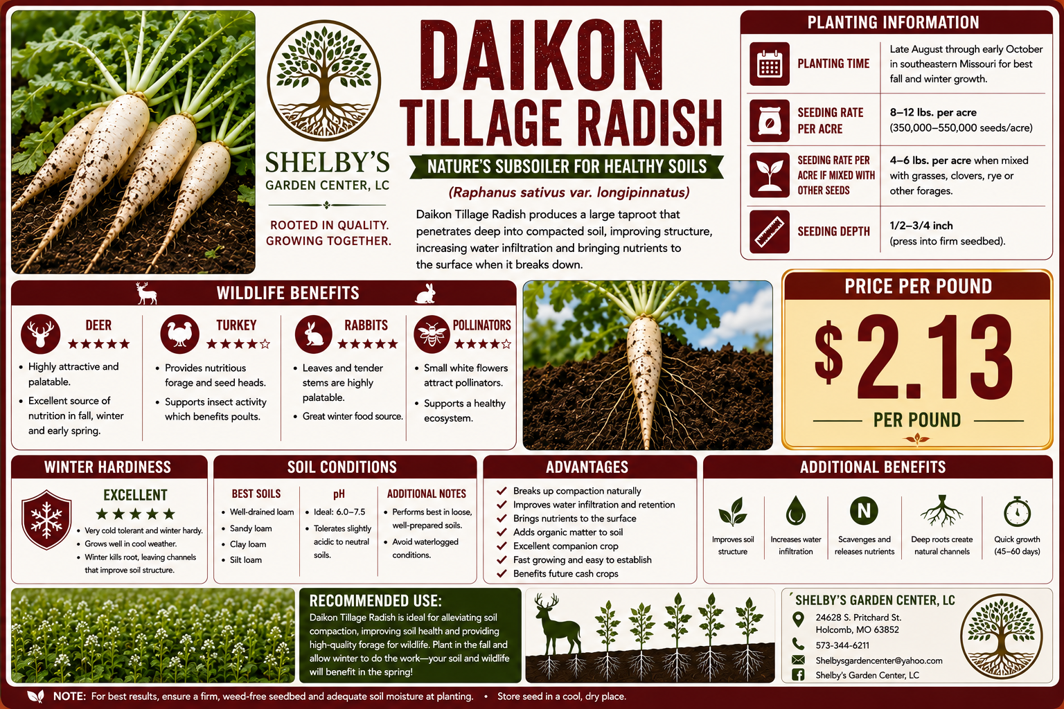 Diakon Tilage Radish Bench Card.png