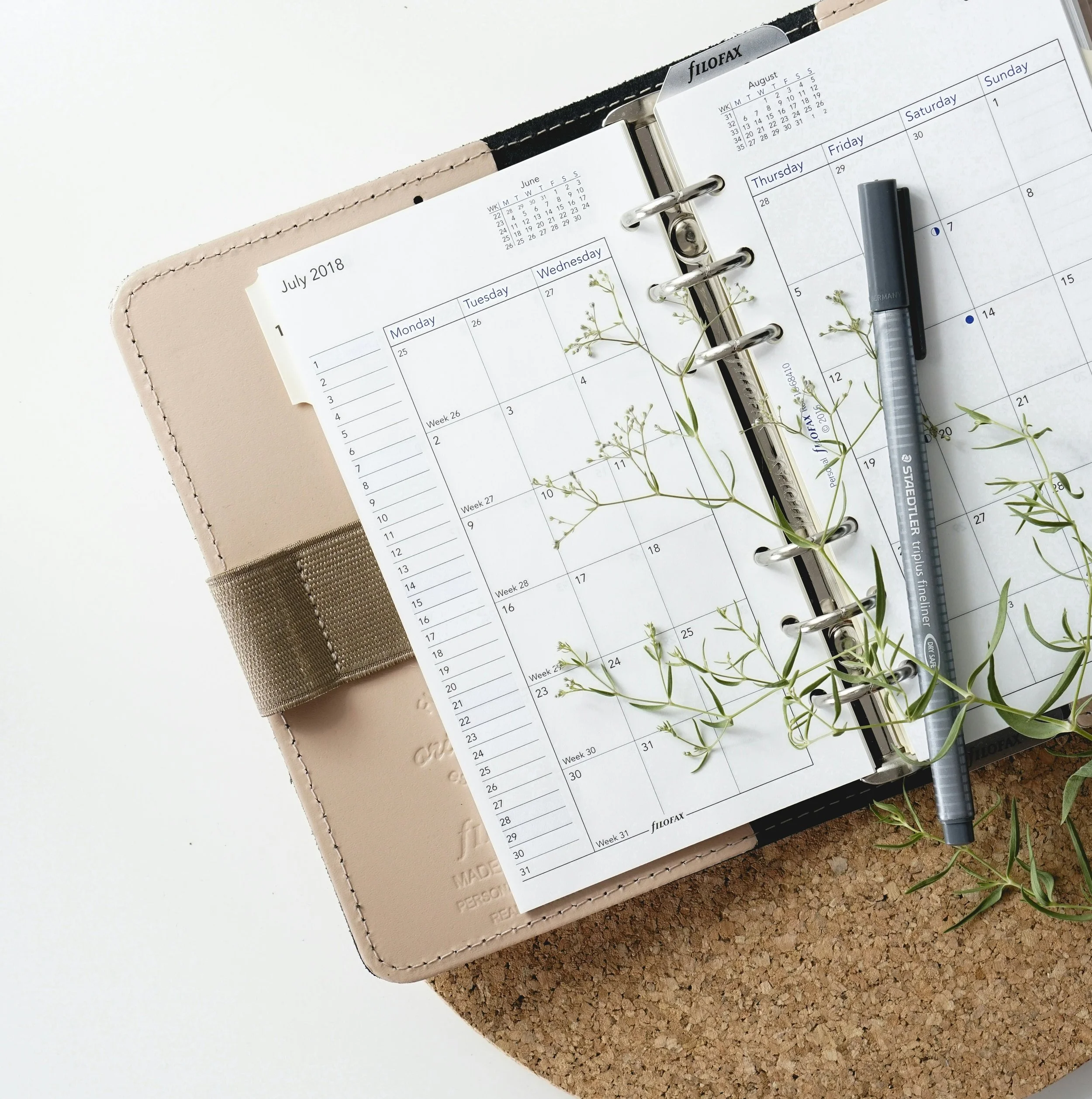 photo-1529651737248-dad5e287768e 3,890×4,862 pixels.jpeg