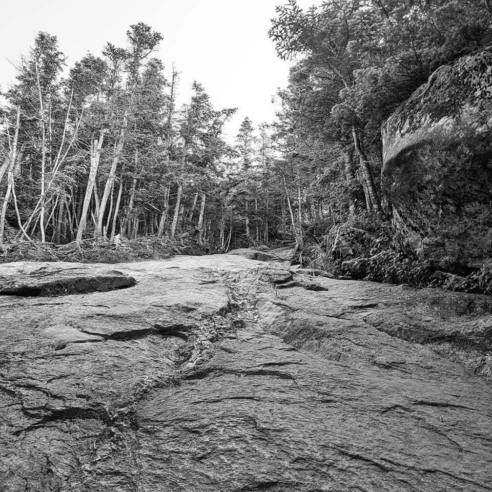 openworldgaming 4.jpg