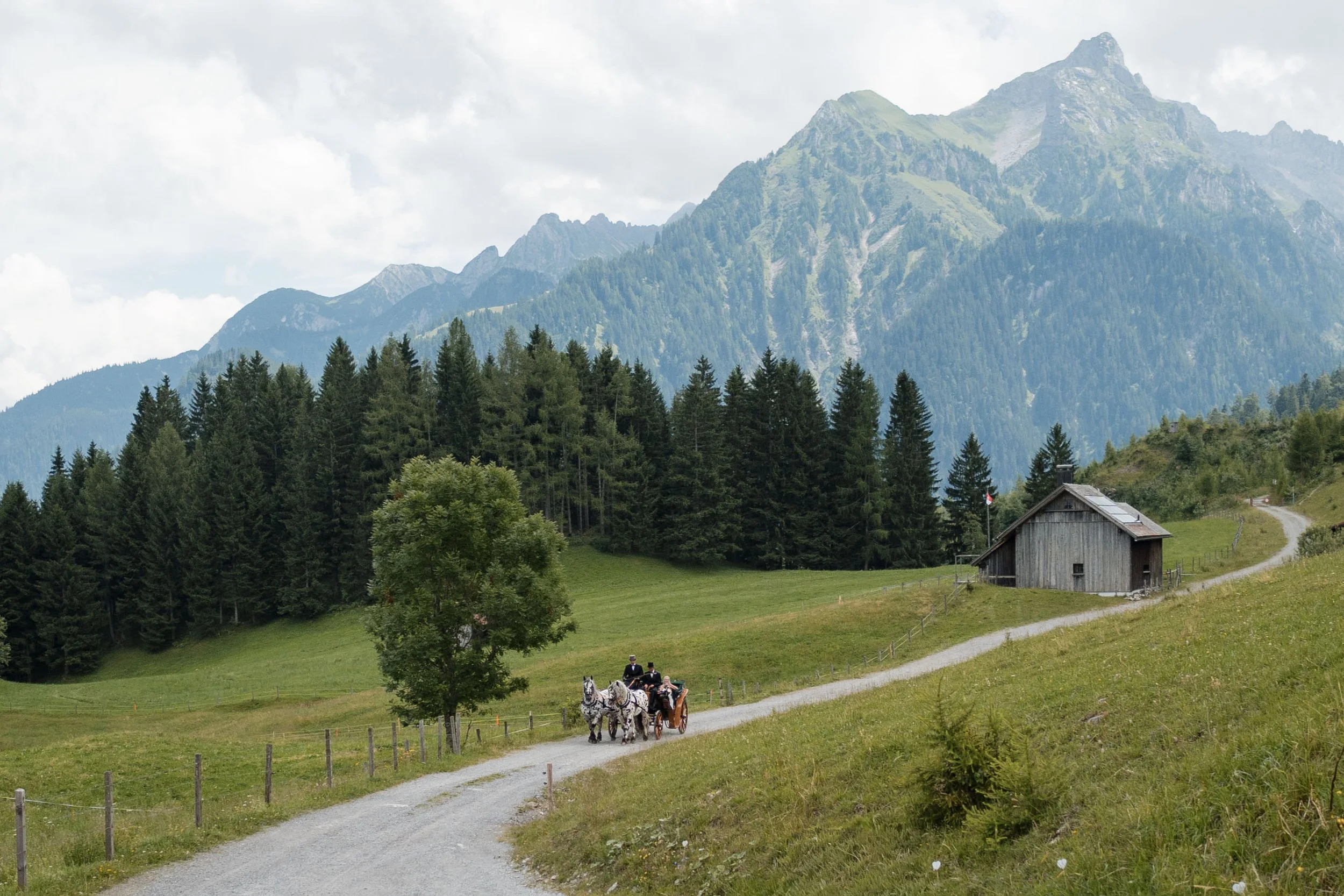 Hügelige Landschaft in den Schweizer Alpen mit einem Holzhaus, einem Weg, einer Baumgruppe, einem Wald und Bergen im Hintergrund.
