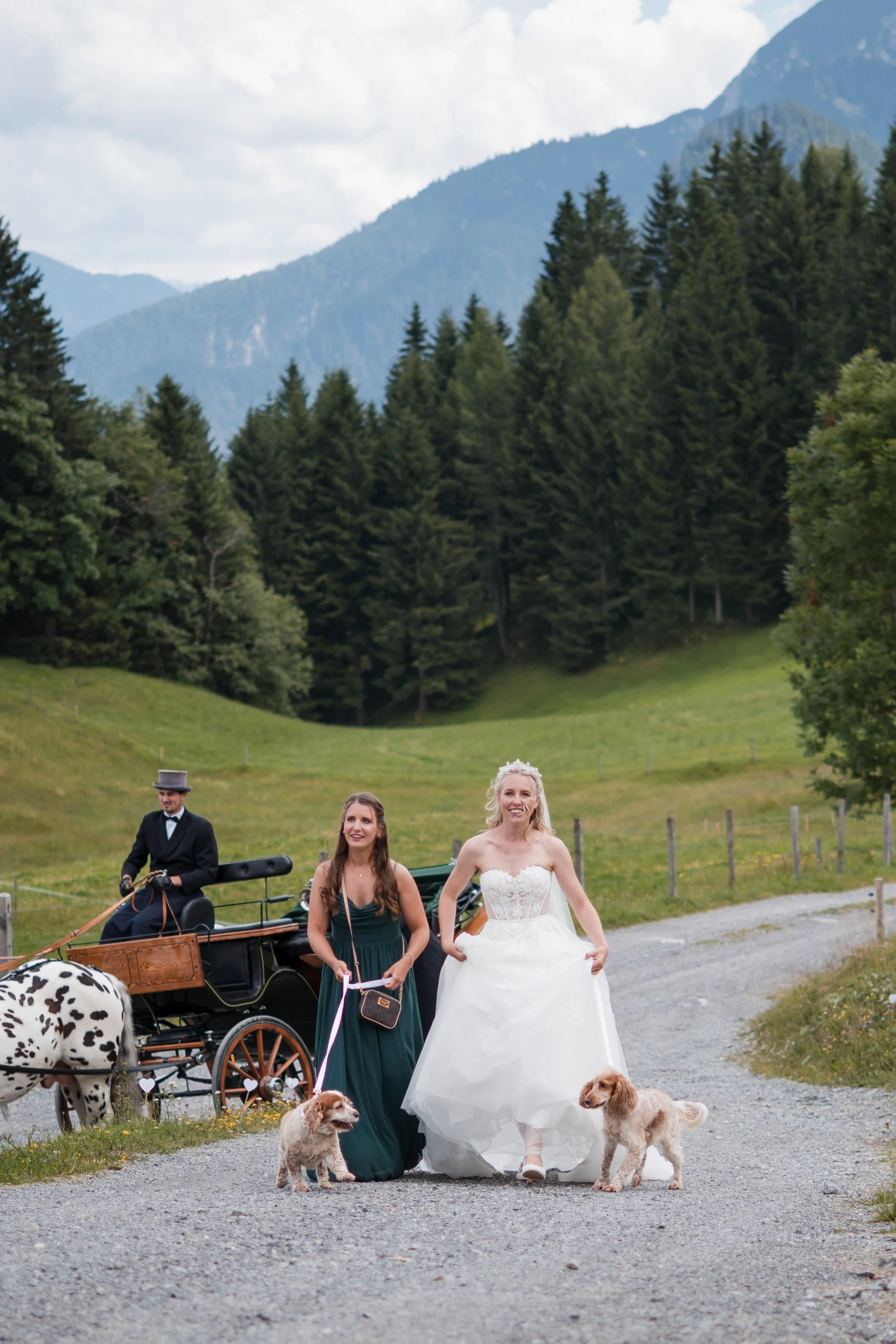 Eine Hochzeit im Freien in einer ländlichen Bergregion, mit einer braut im weißen Kleid, zwei Damen, einem Kutscher in einem Pferdewagen, und zwei Dalmatiner-Hunden auf einem Kiesweg, umgeben von grünen Wiesen und Bergen.