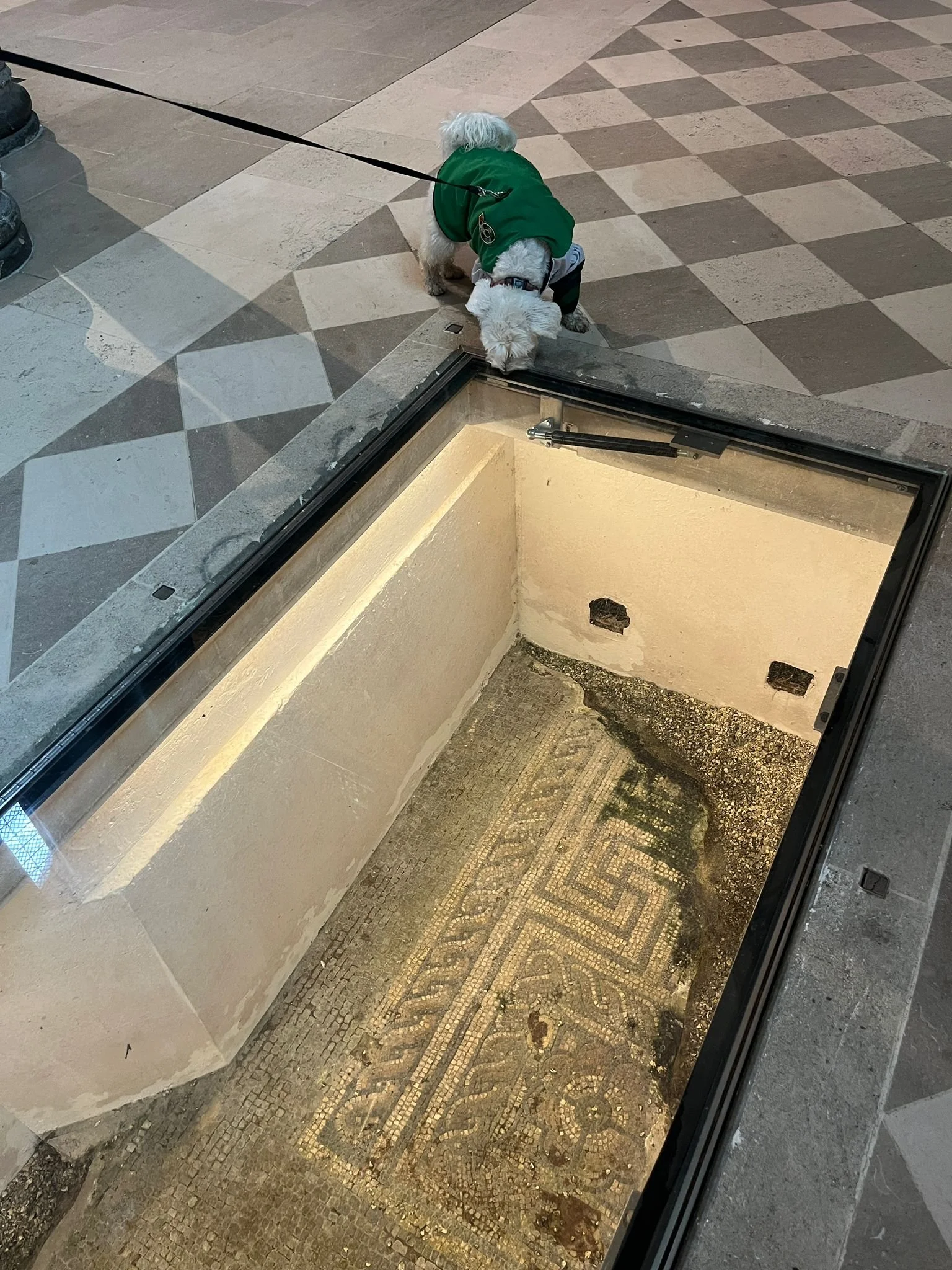 WhatsApp Image 2025-12-11 at 19.50.35.jpeg