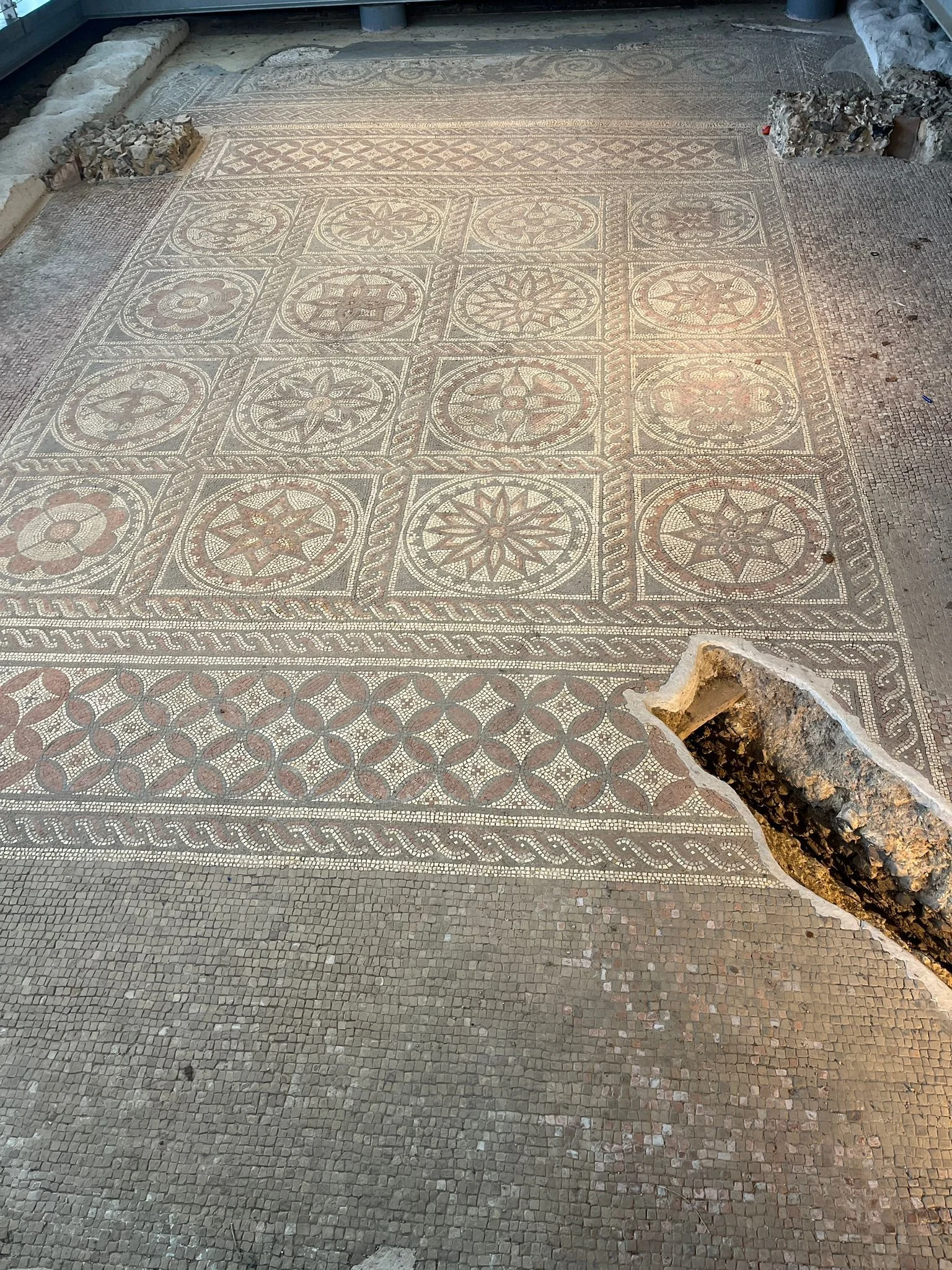 WhatsApp Image 2026-01-16 at 12.04.42.jpeg