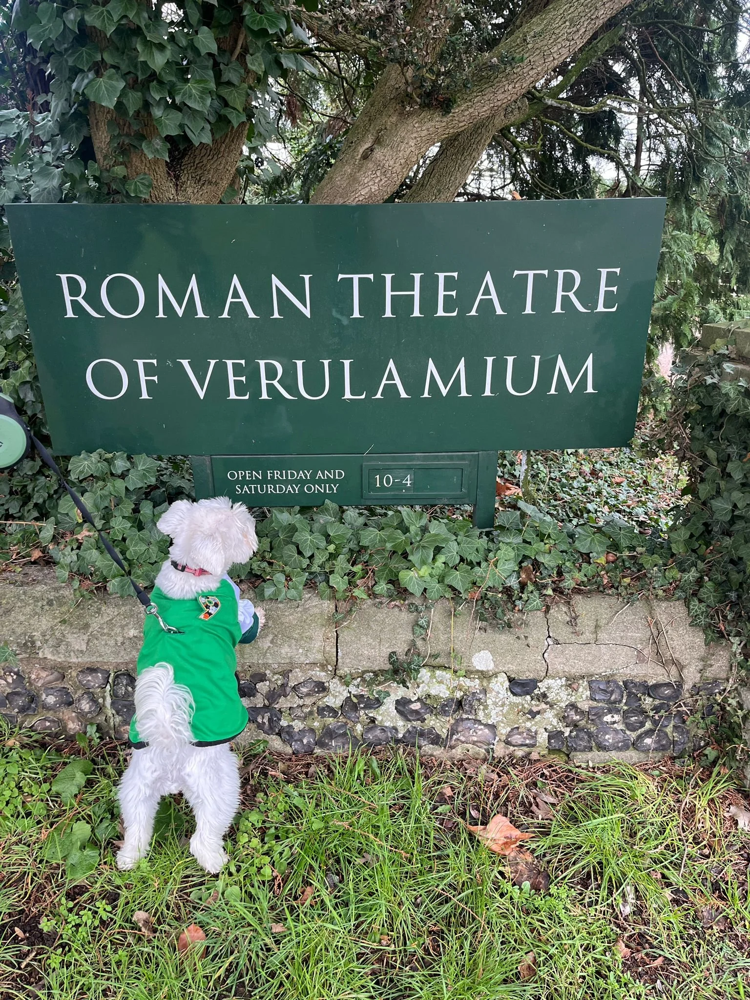 WhatsApp Image 2026-01-16 at 12.04.43.jpeg