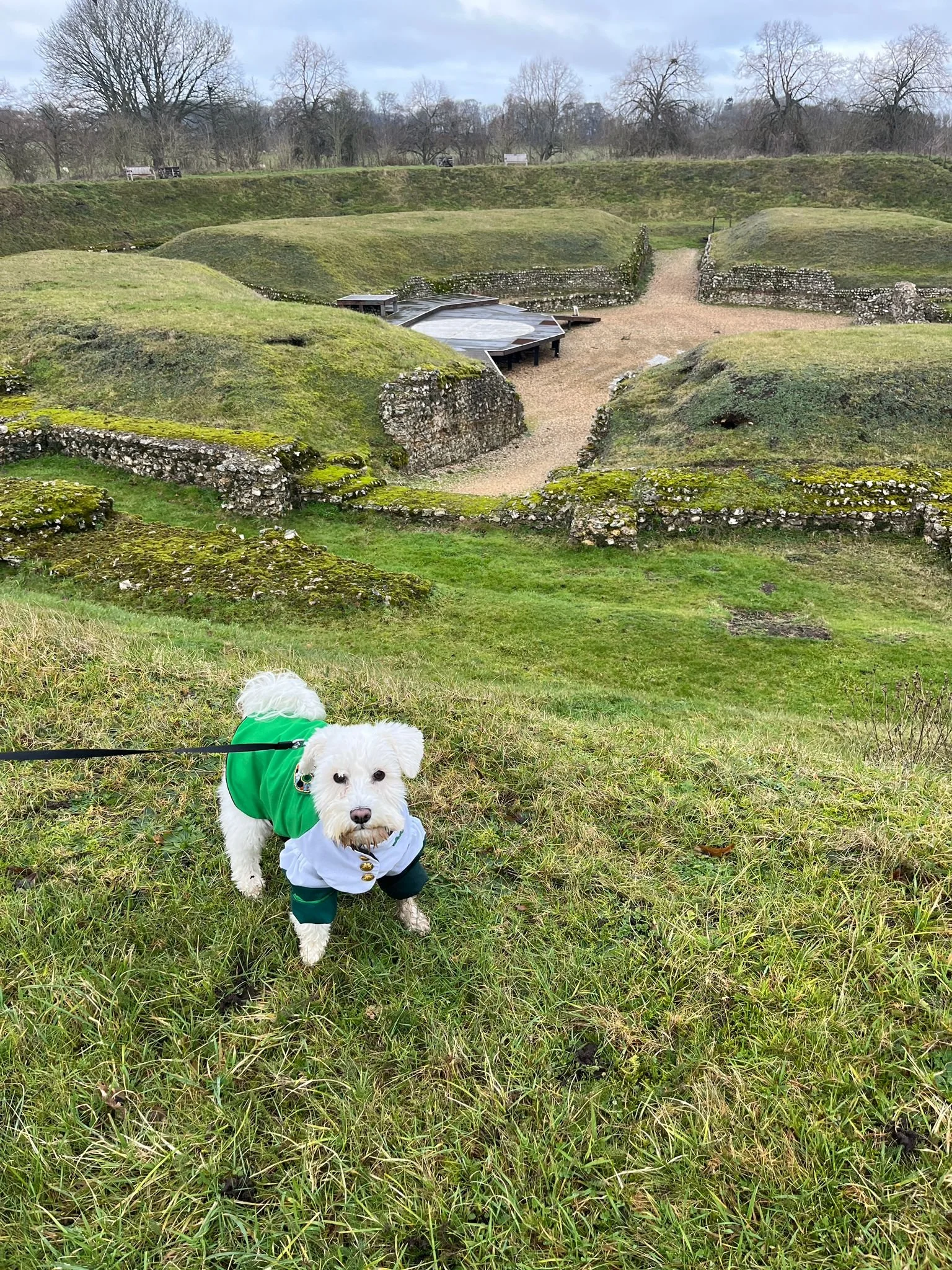 WhatsApp Image 2026-01-16 at 12.04.43 (1).jpeg