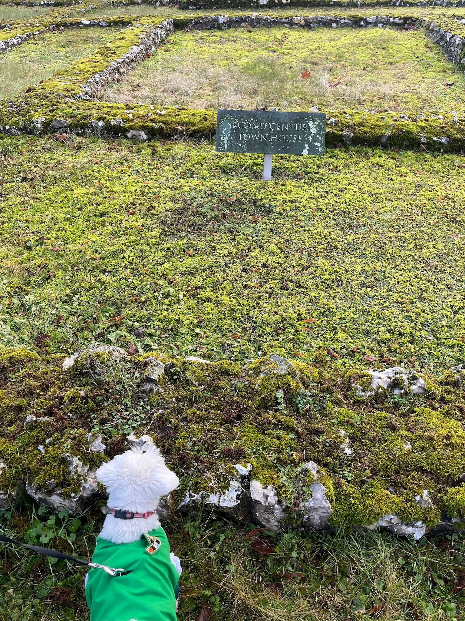 WhatsApp Image 2026-01-16 at 12.04.43 (3).jpeg