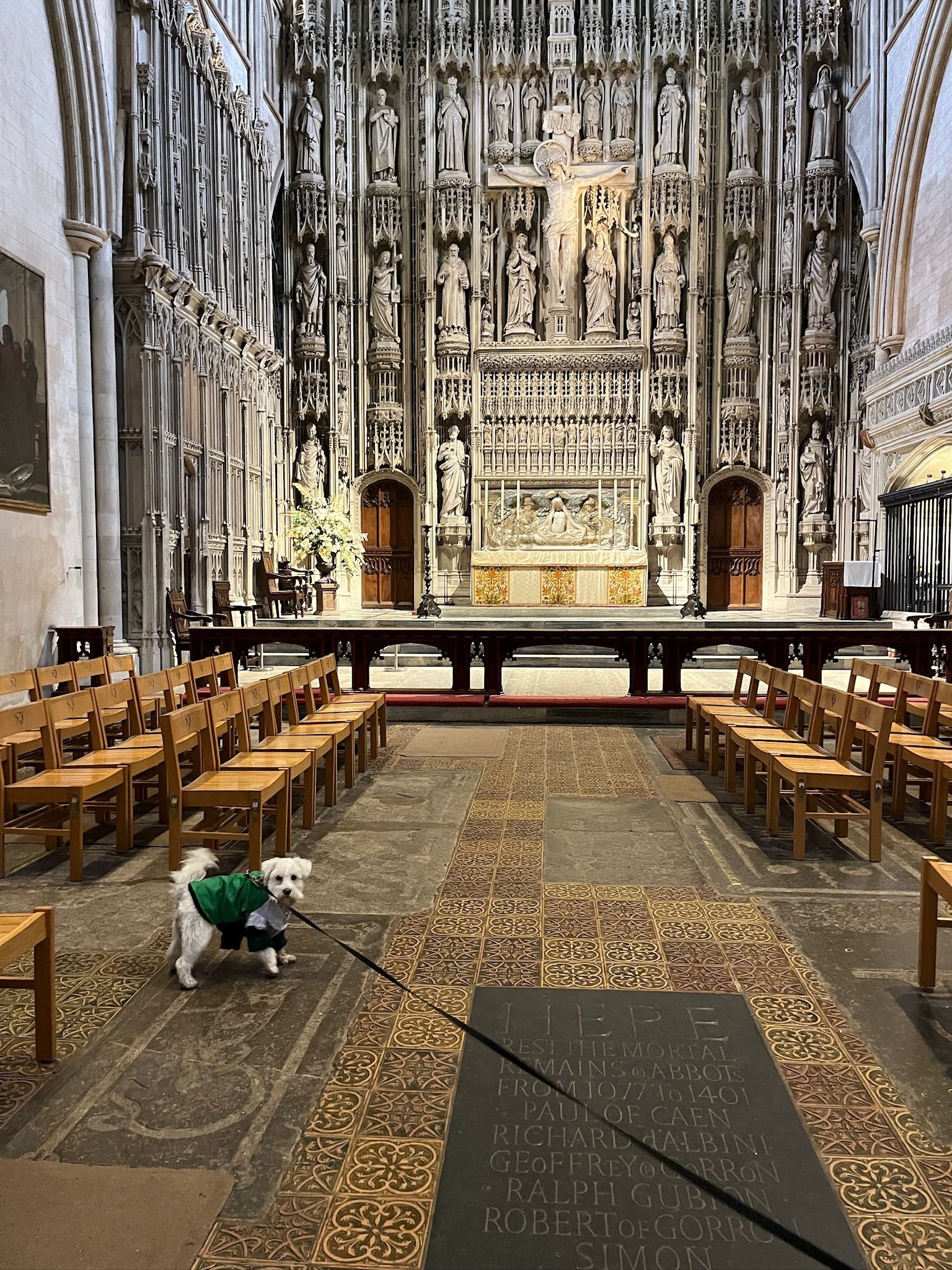 WhatsApp Image 2026-01-16 at 13.29.29 (5).jpeg