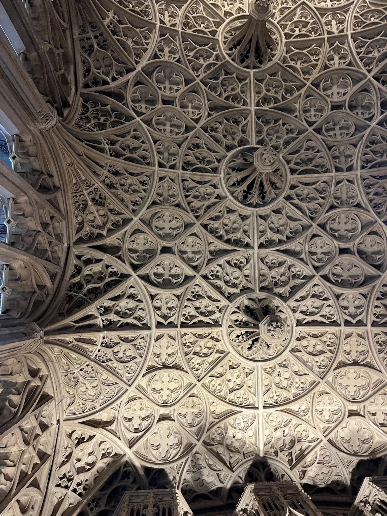 WhatsApp Image 2026-01-16 at 13.29.29 (6).jpeg