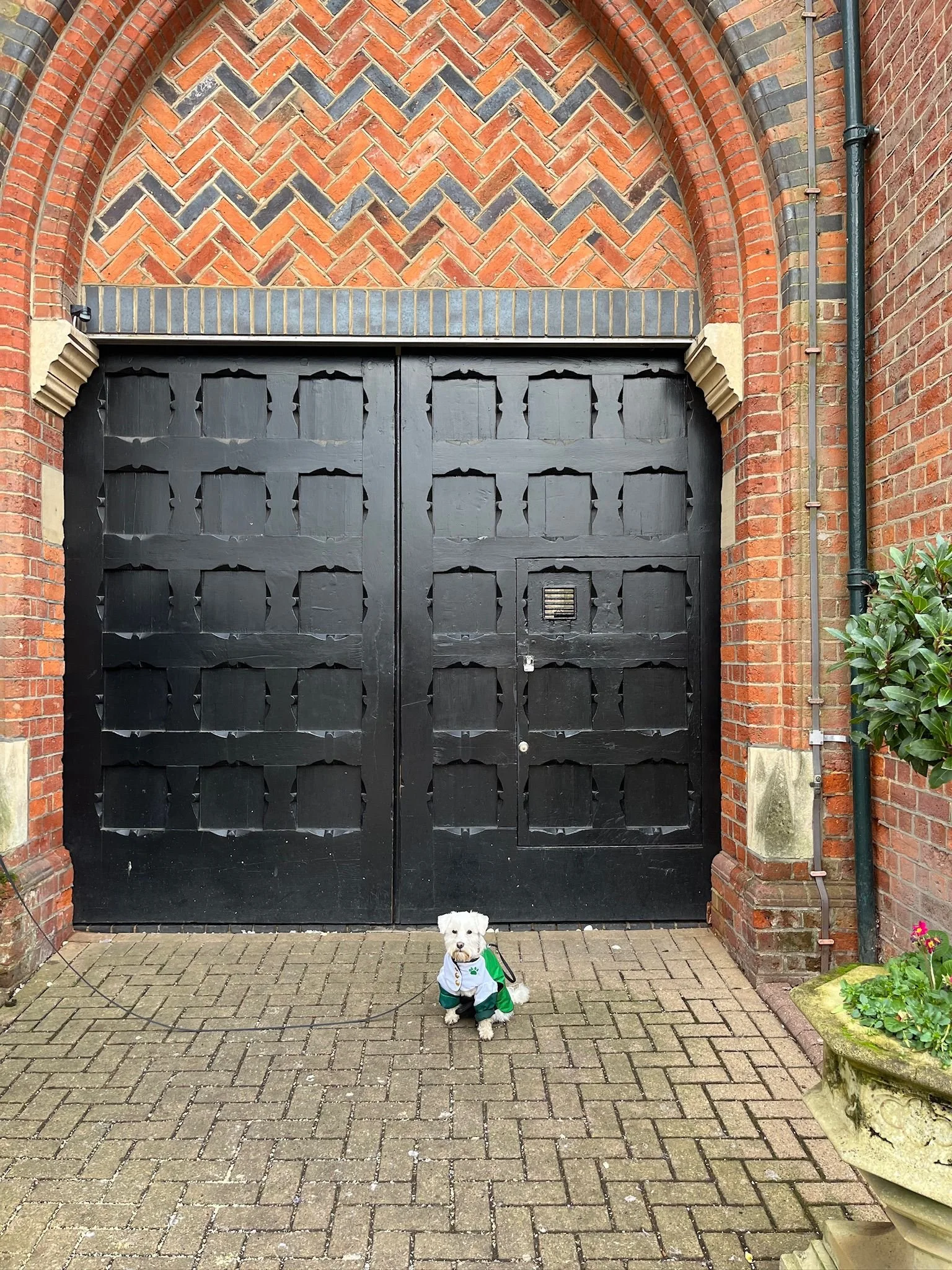 WhatsApp Image 2026-01-16 at 13.43.33.jpeg