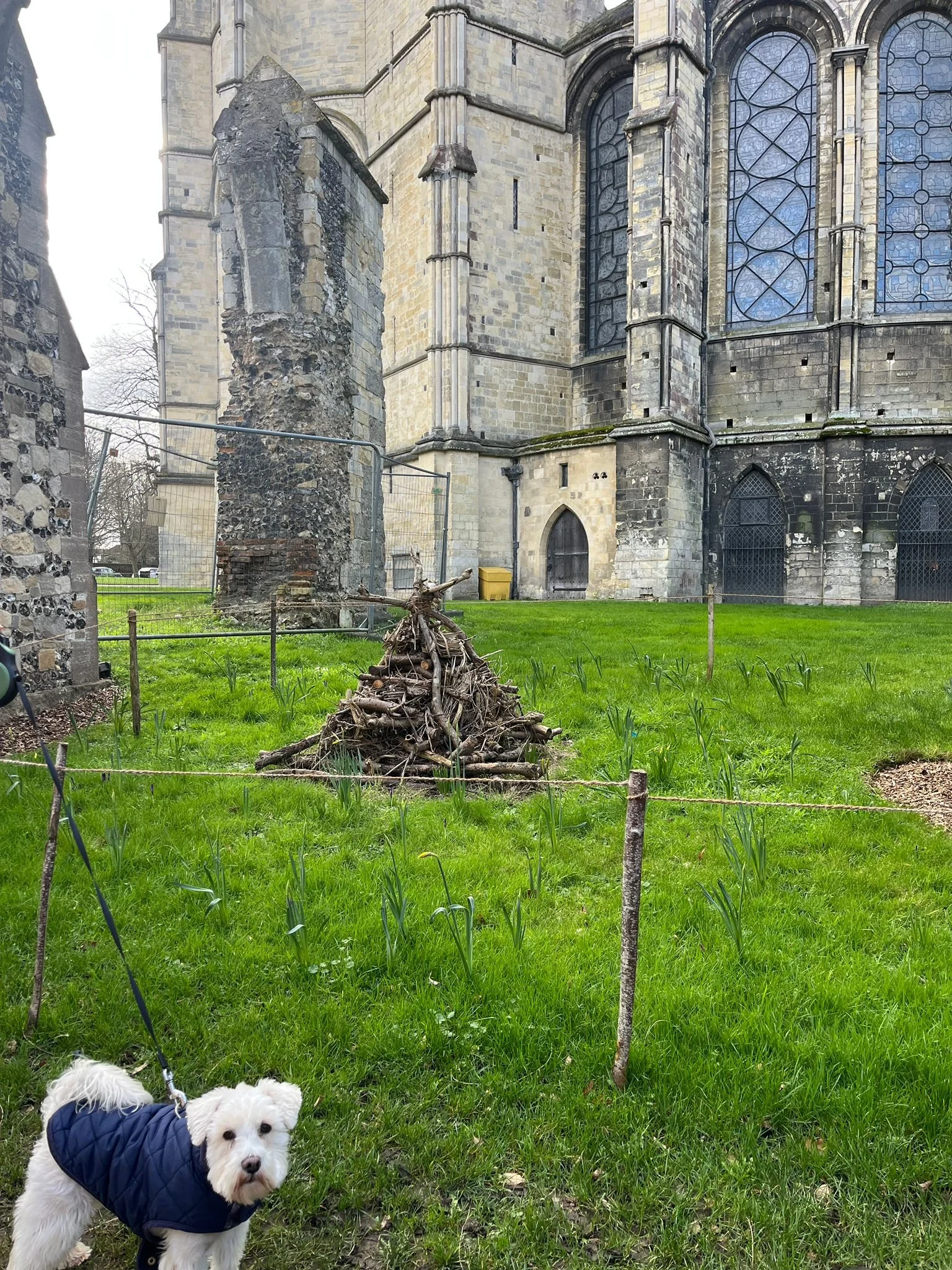 WhatsApp Image 2026-02-19 at 19.25.38.jpeg