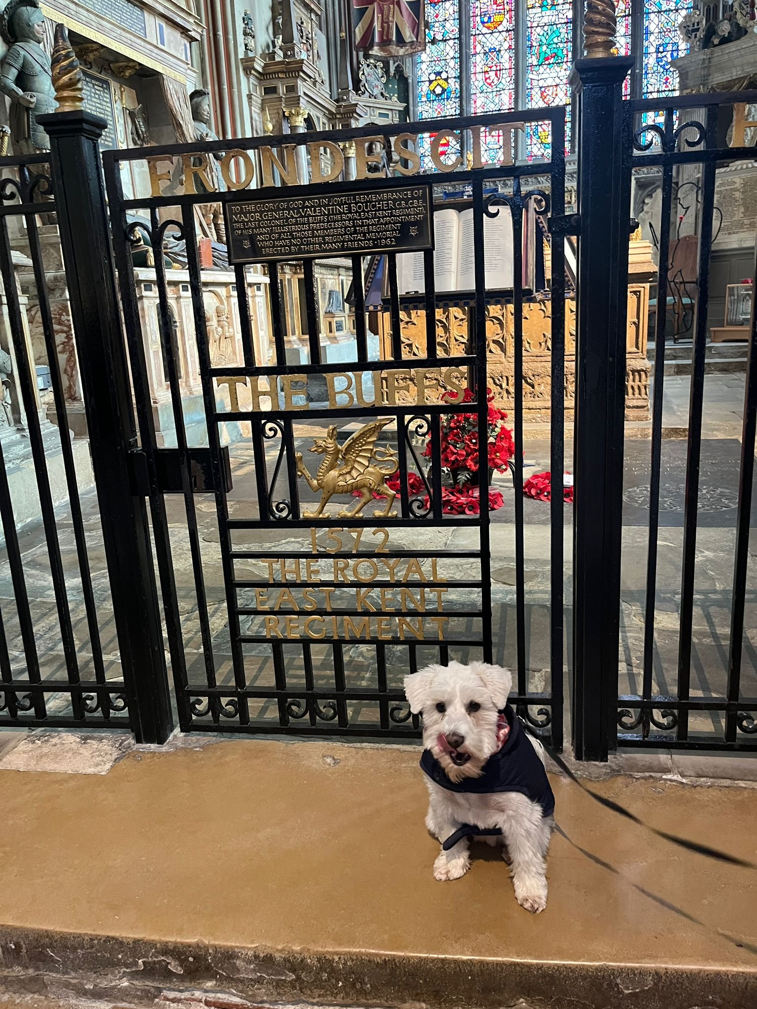 WhatsApp Image 2026-02-19 at 19.25.37 (4).jpeg