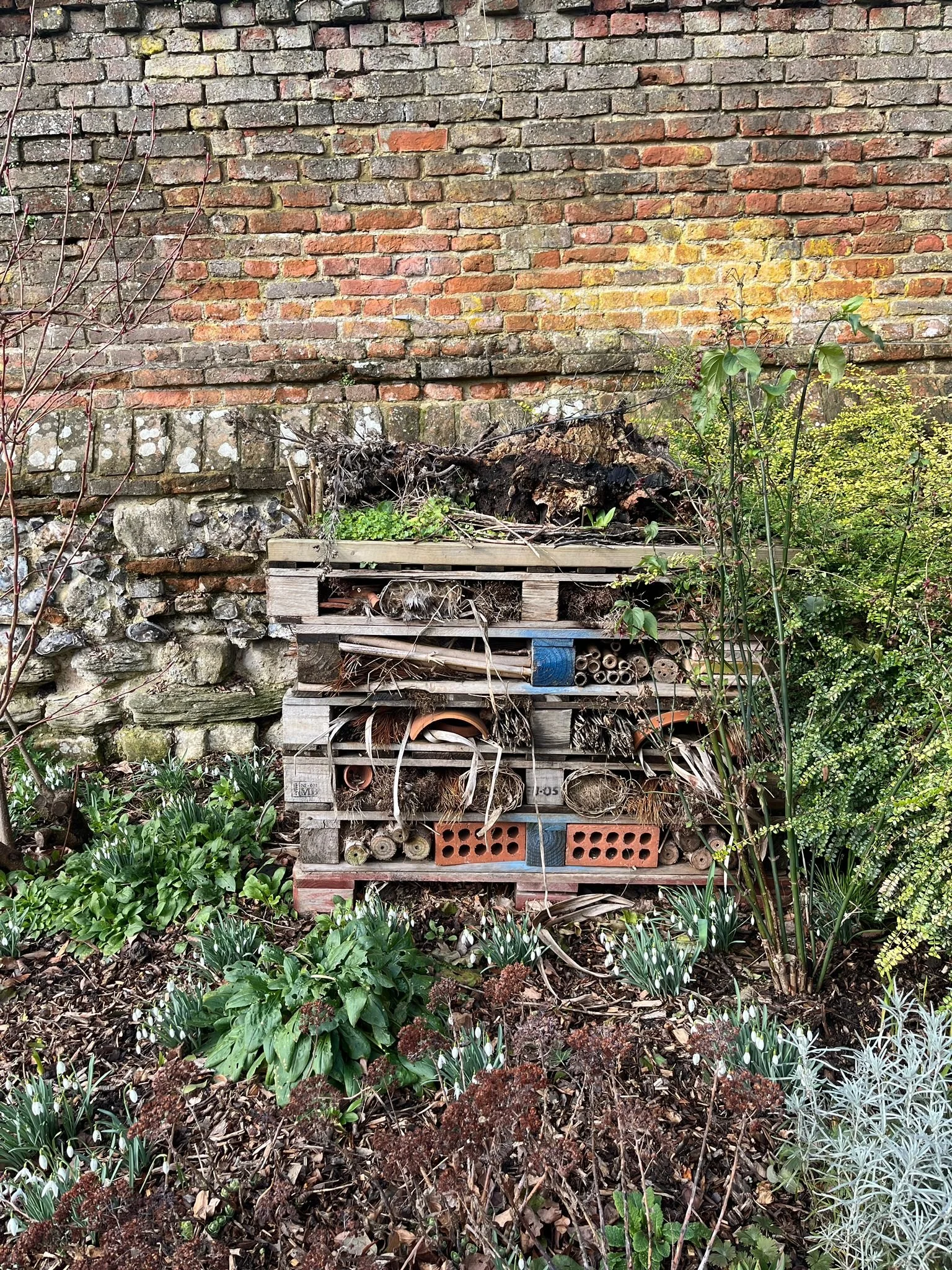 WhatsApp Image 2026-02-19 at 19.25.37 (5).jpeg