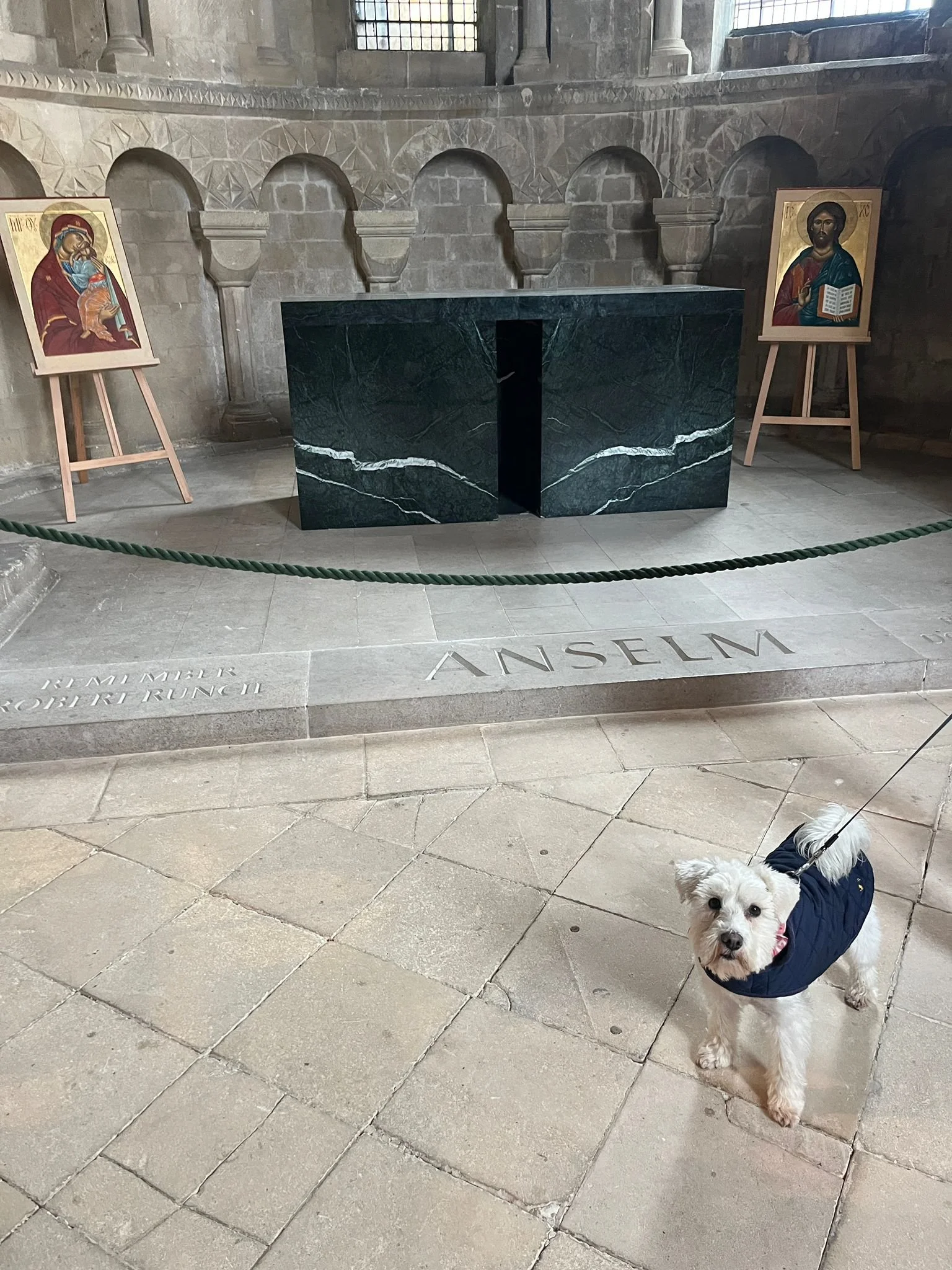 WhatsApp Image 2026-02-19 at 19.25.37 (1).jpeg