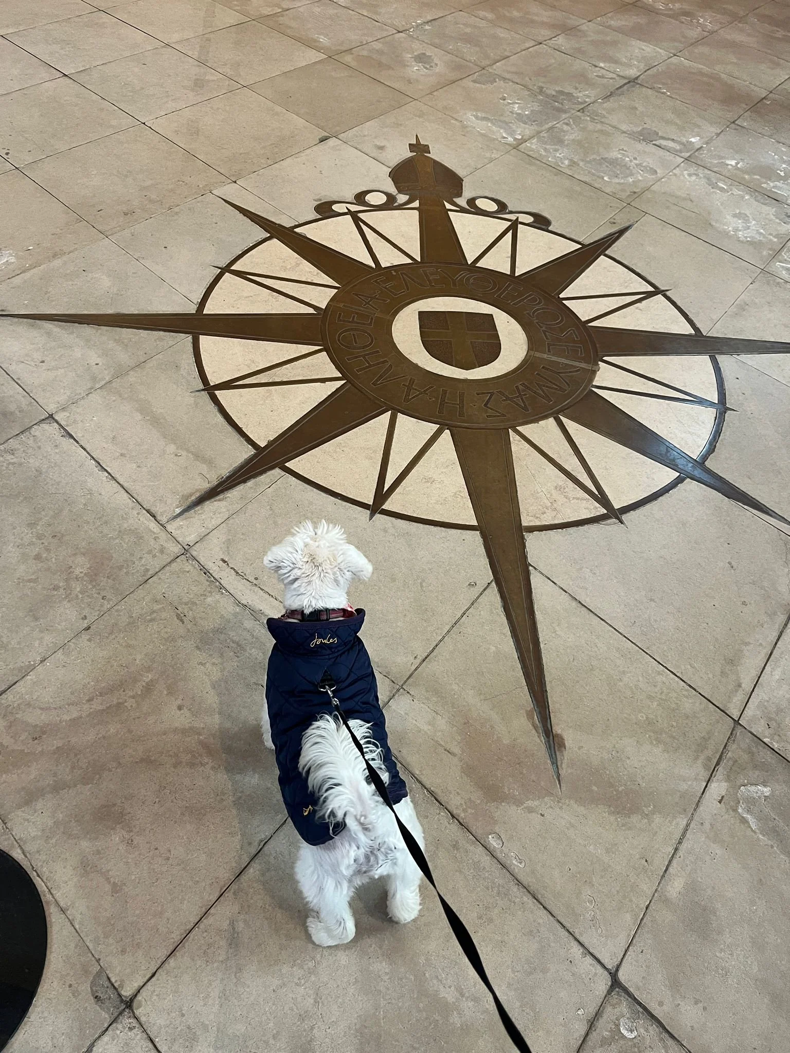 WhatsApp Image 2026-02-19 at 19.25.35.jpeg