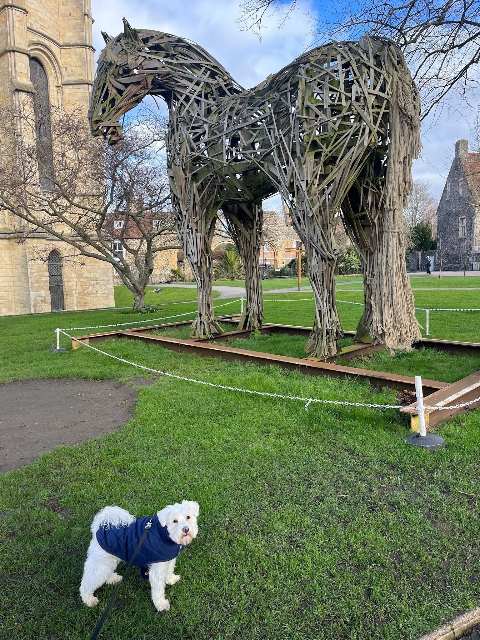 WhatsApp Image 2026-02-19 at 20.06.35.jpeg